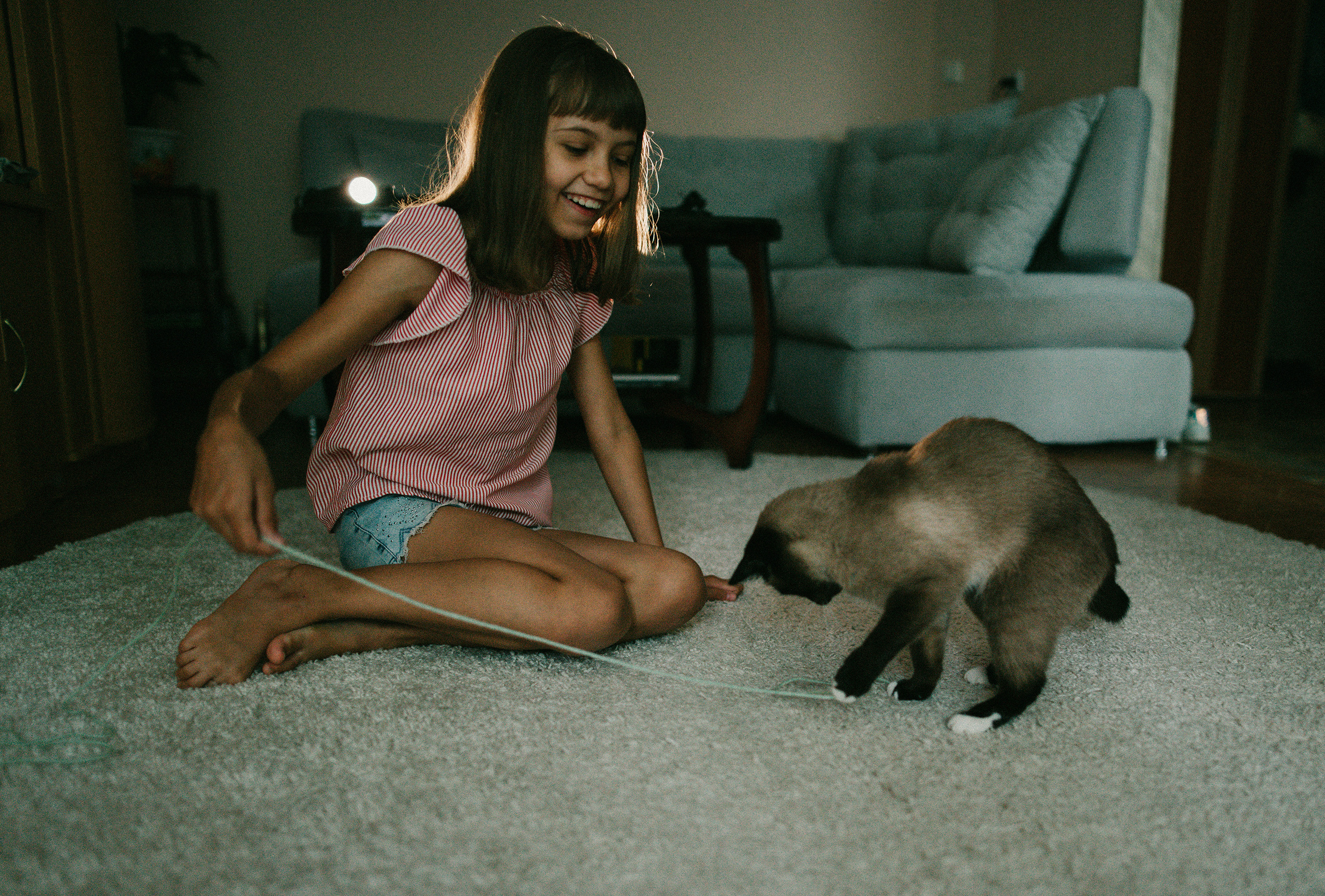 Немного про кошку. Семейный фотограф Островская Альбина г. Мирный Саха (Якутия)
