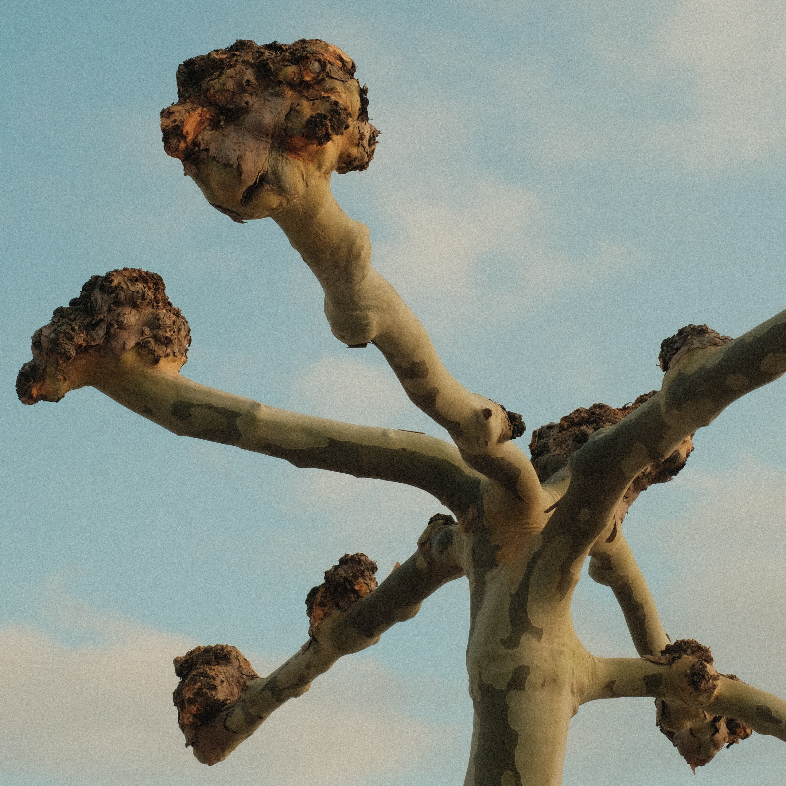 Krasnodar. Creative travel photographer — Berg Daria