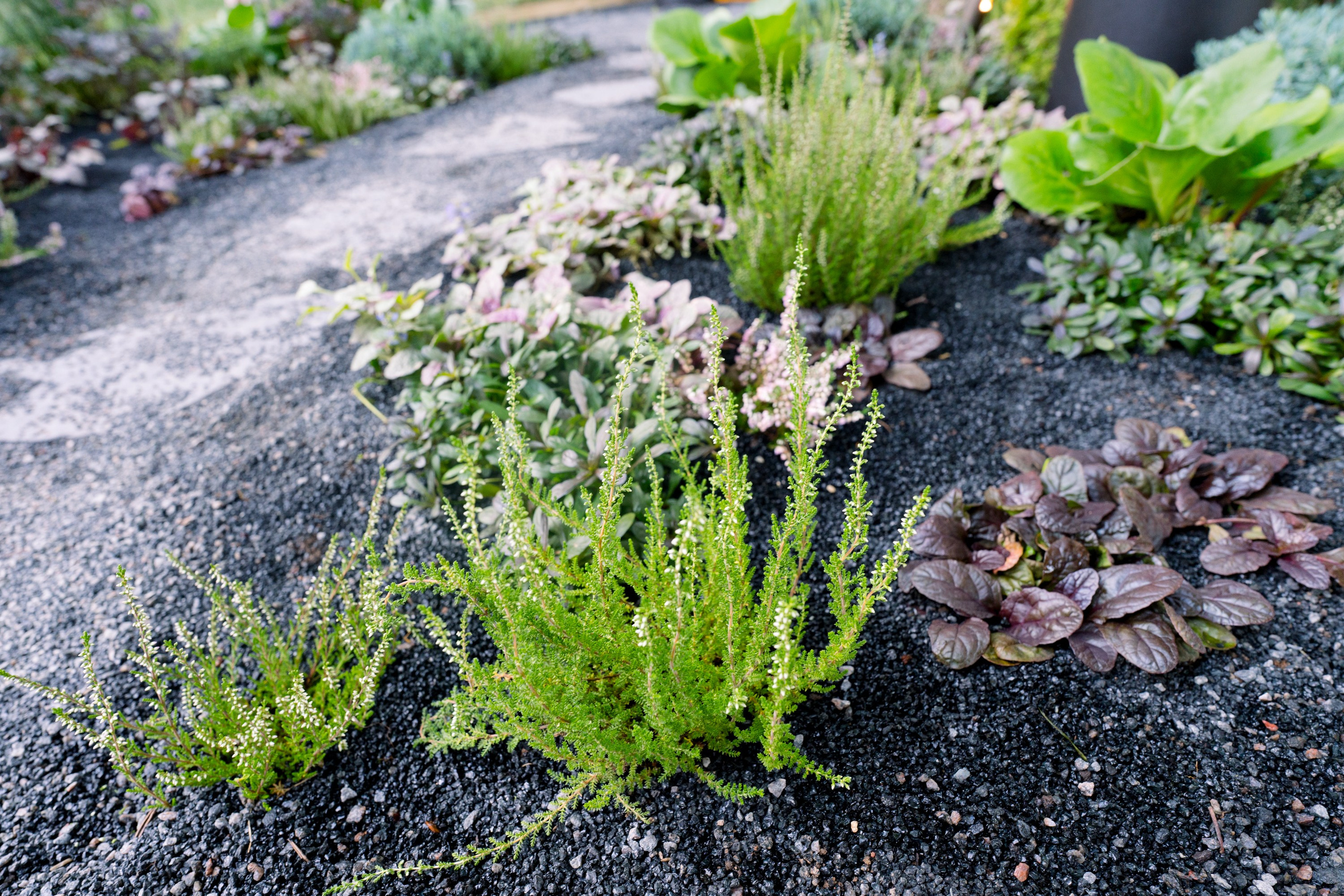 Сад Плеяд. Студия ландшафтного дизайна в Москве. Love My Garden