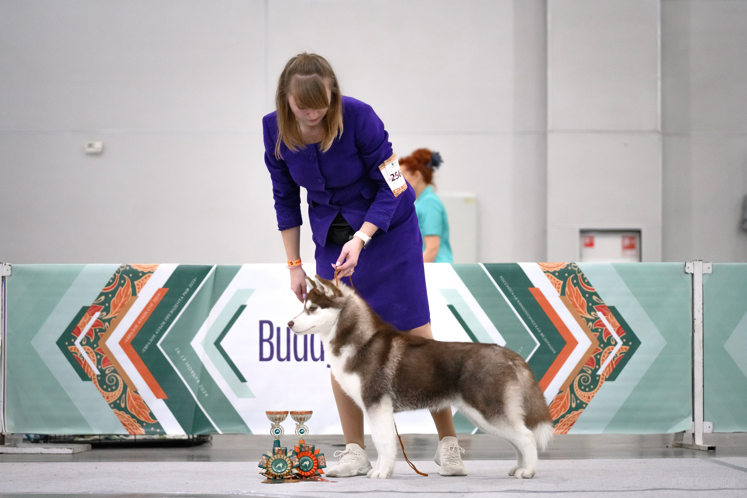 Собаки. FASHION ФОТОГРАФ КАЗАНЬ