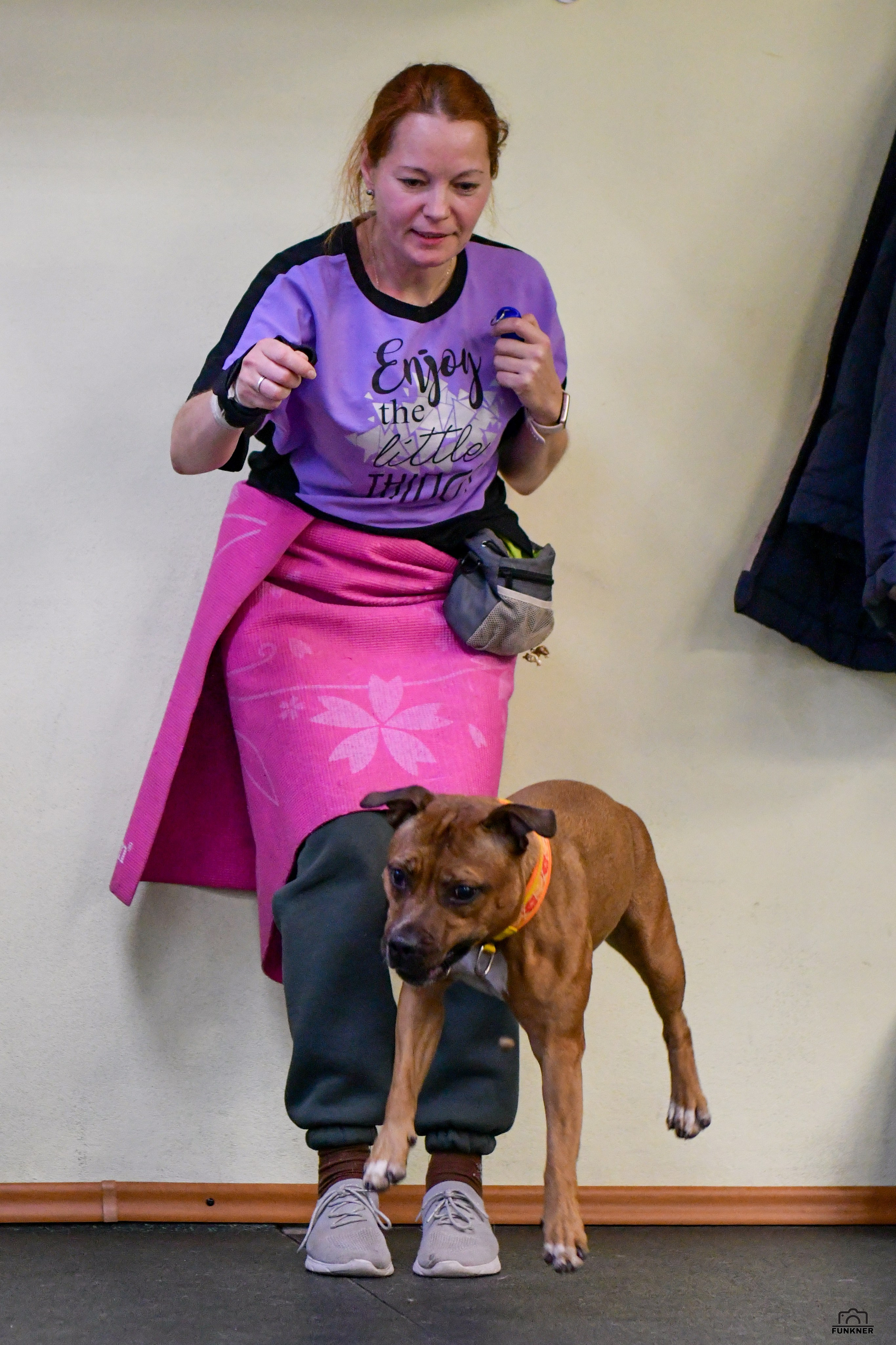 Кинологический клуб «Бодрый хвост». Свой взгляд через объектив