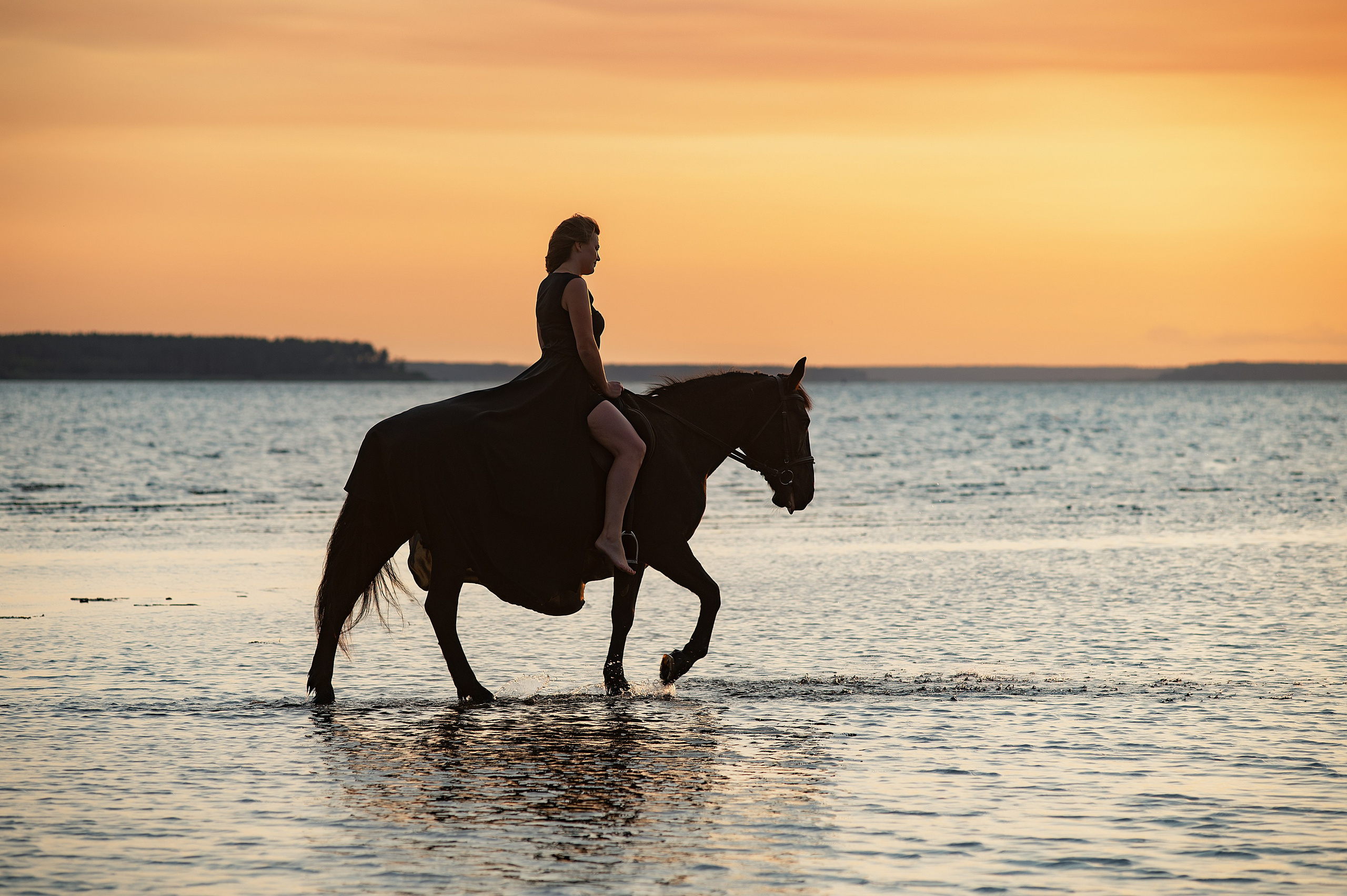 Фотосессии с лошадьми. Фотограф Евгения Соколова