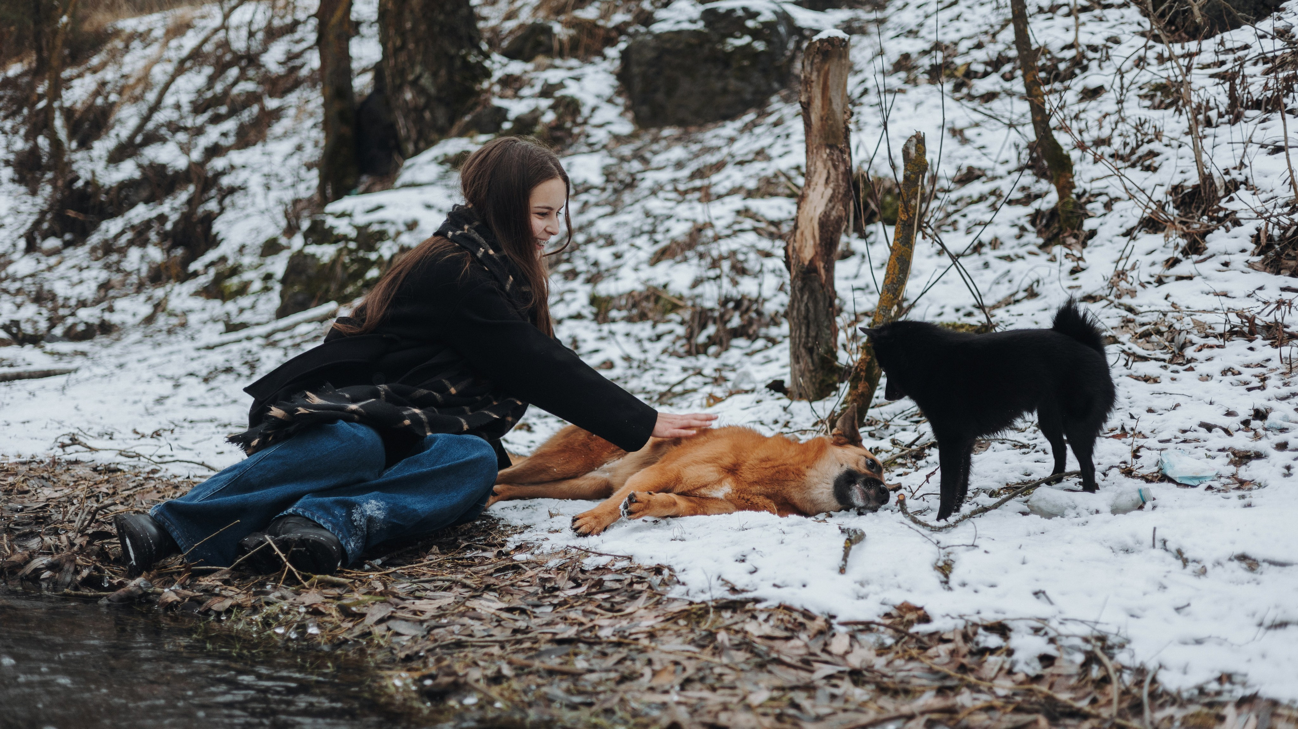 Юля, Лара и Йоми. Фотограф-анималист Богданова Полина