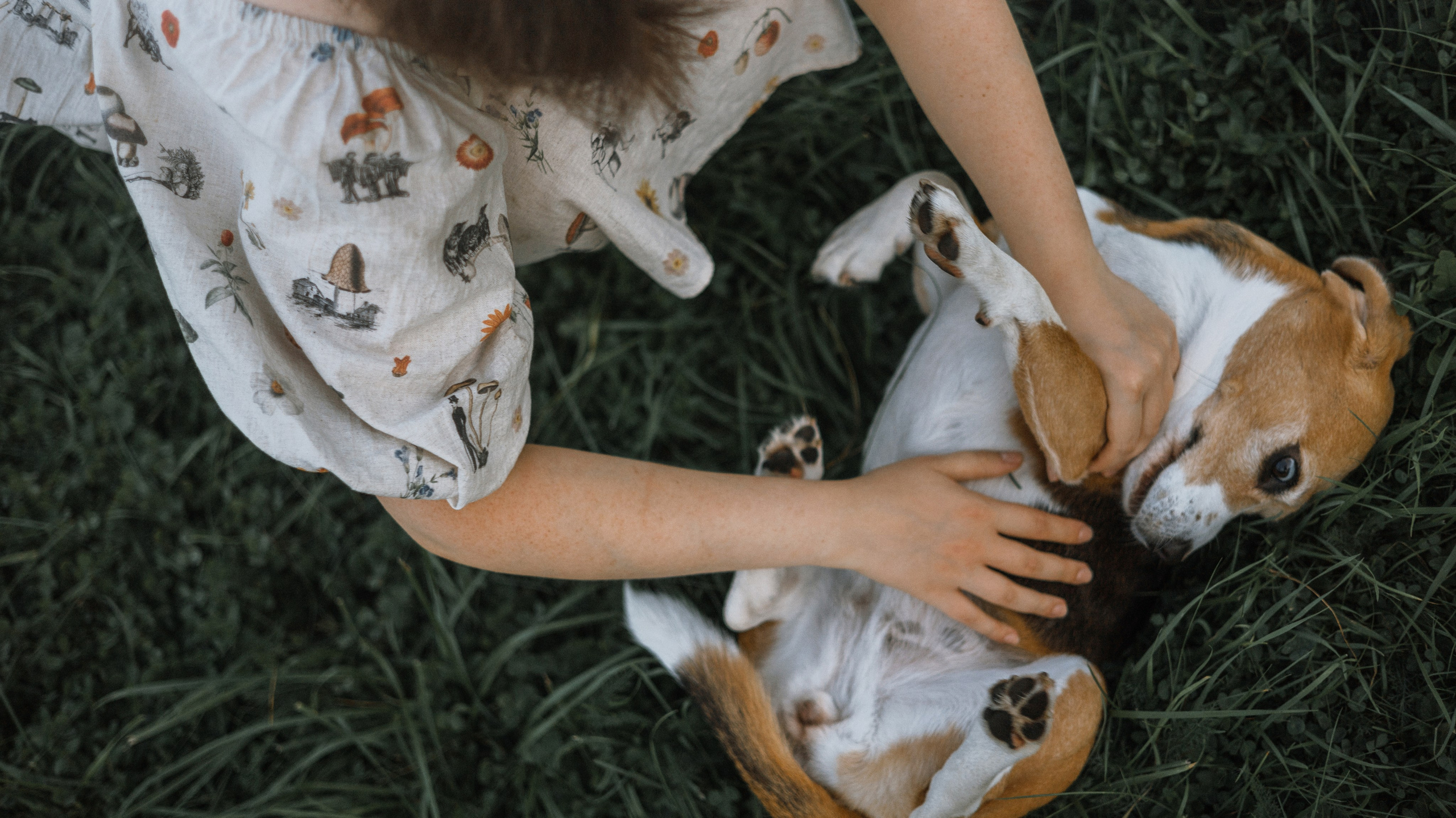 Лиза и Сара. Фотограф-анималист Богданова Полина