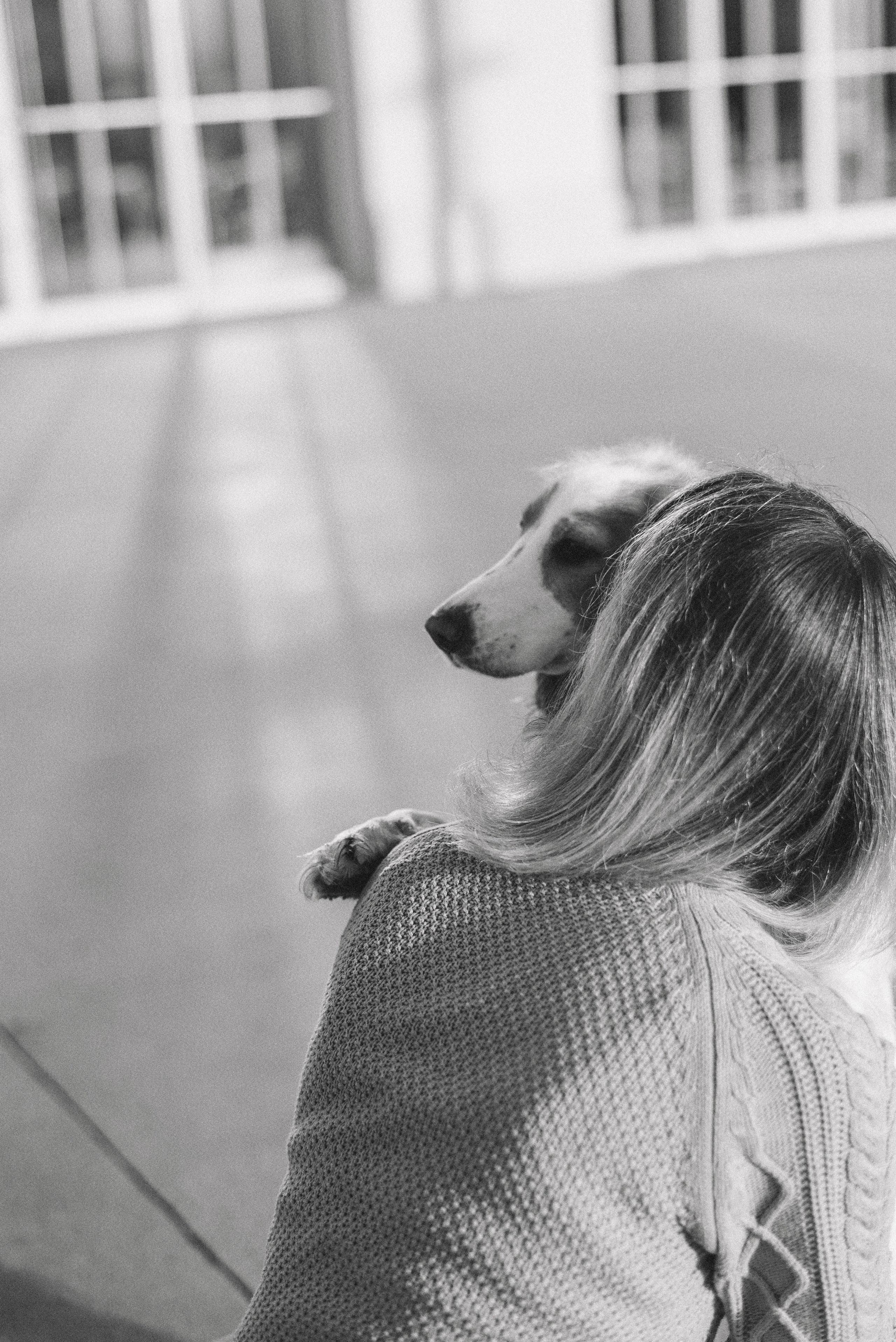 Маша и Вега. Фотограф-анималист Богданова Полина