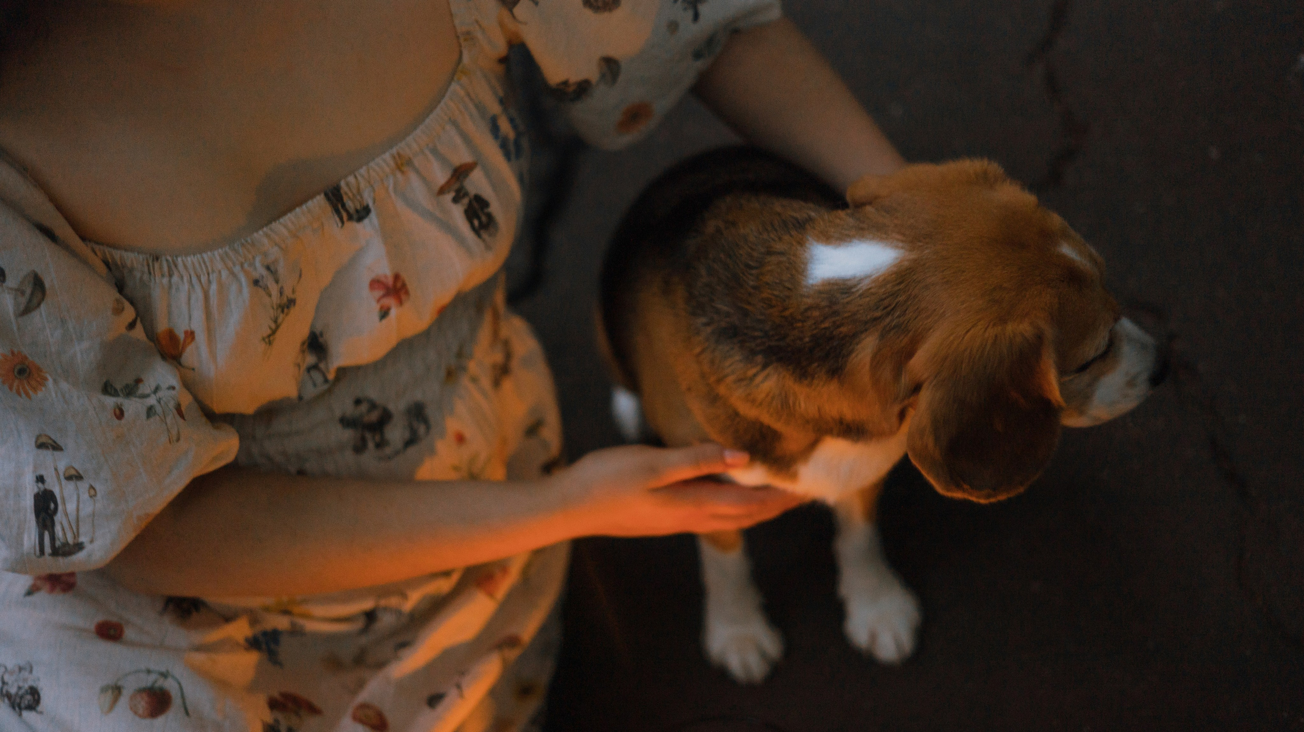 Лиза и Сара. Фотограф-анималист Богданова Полина