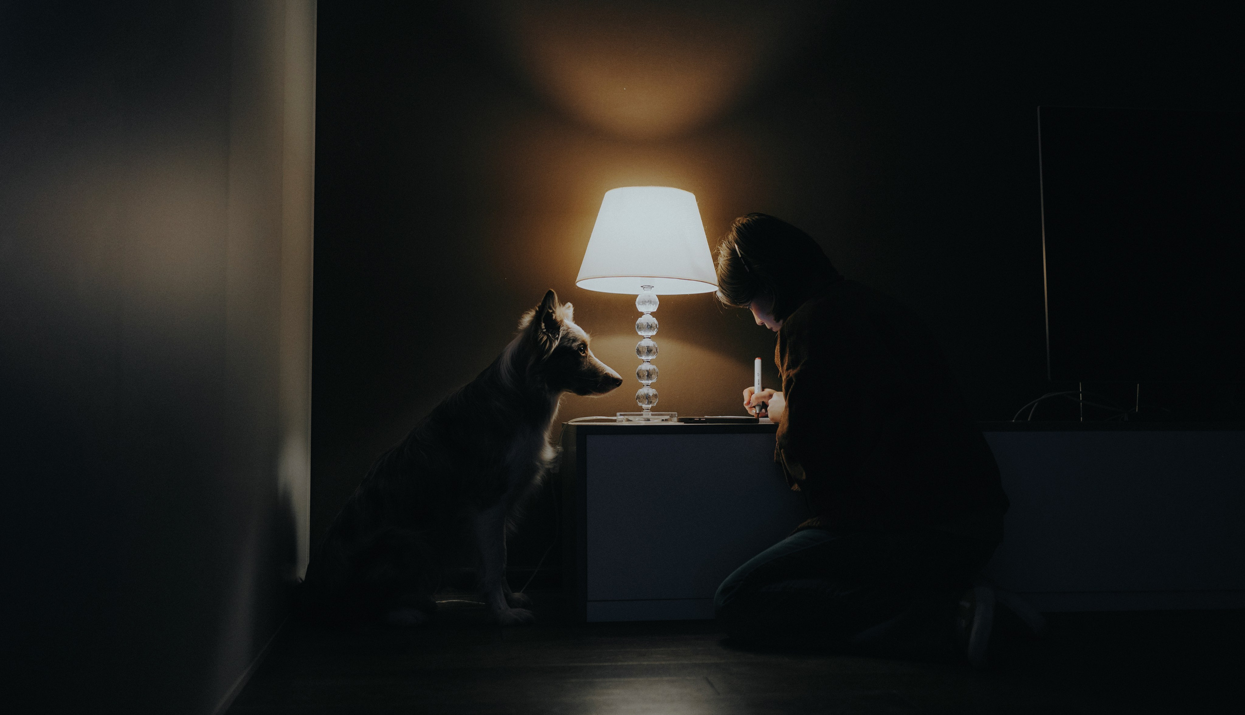 Аня и Дэймон. Фотограф-анималист Богданова Полина