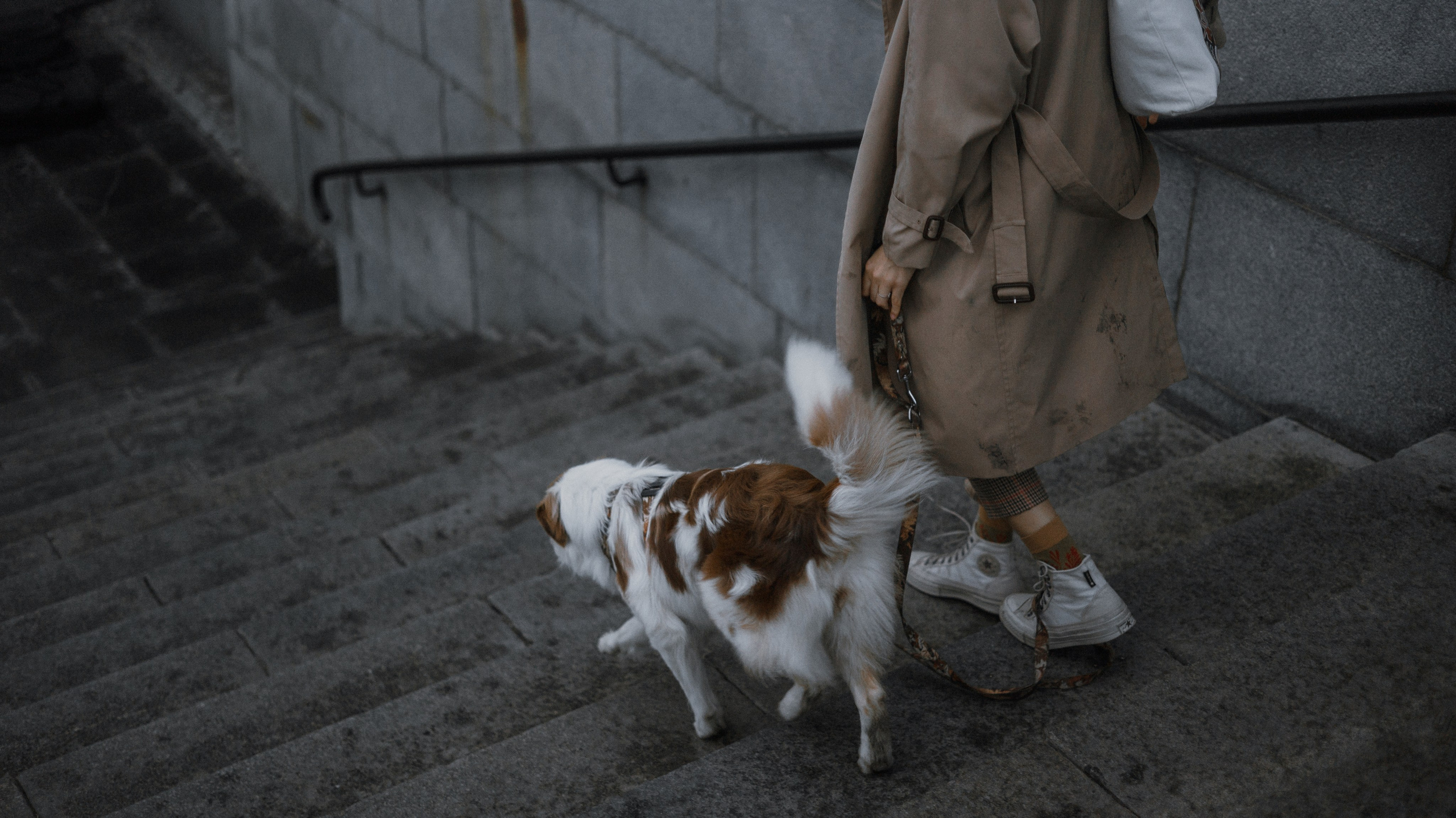 Светлана и Оливия. Фотограф-анималист Богданова Полина