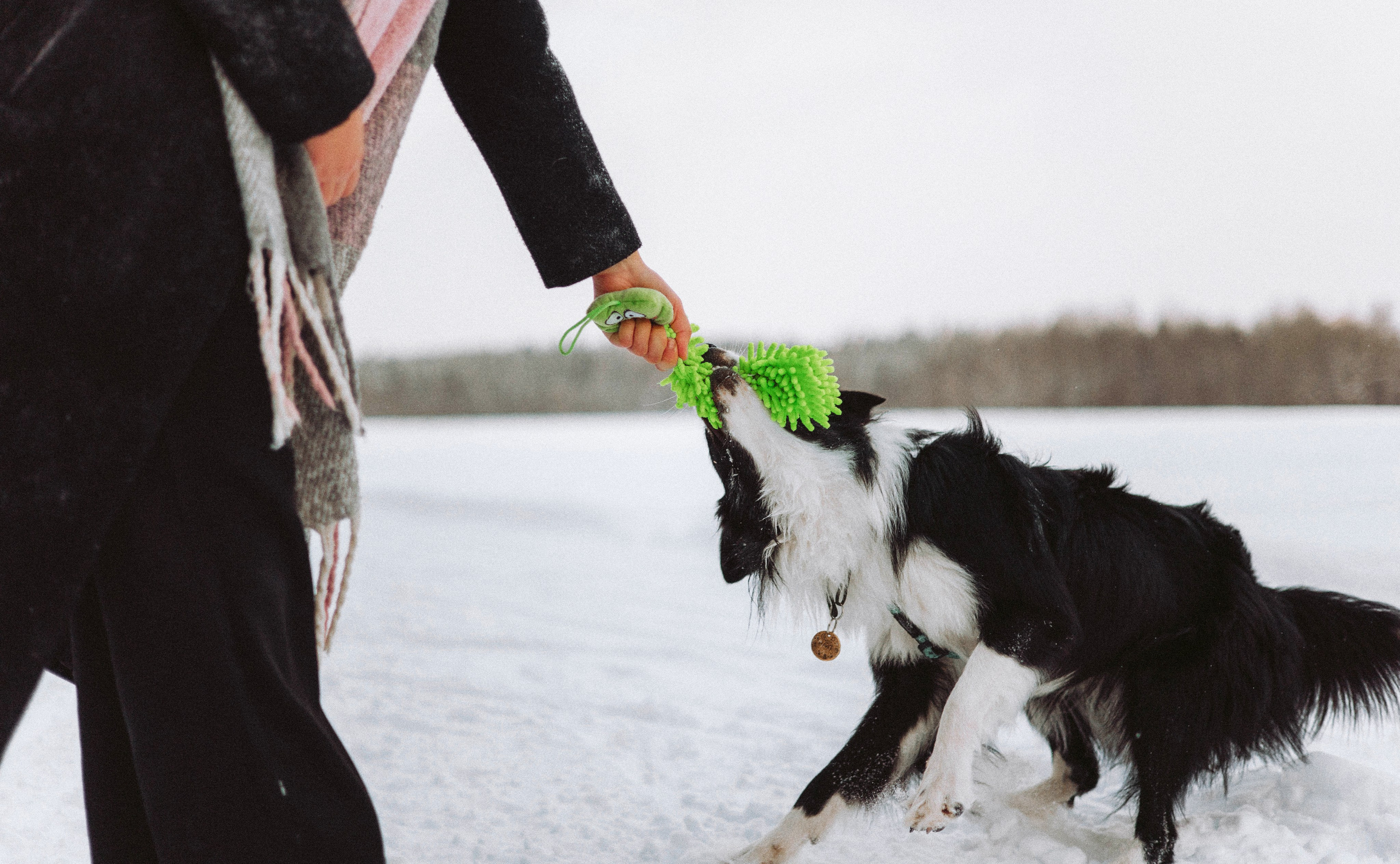 Алина и Найт. Фотограф-анималист Богданова Полина