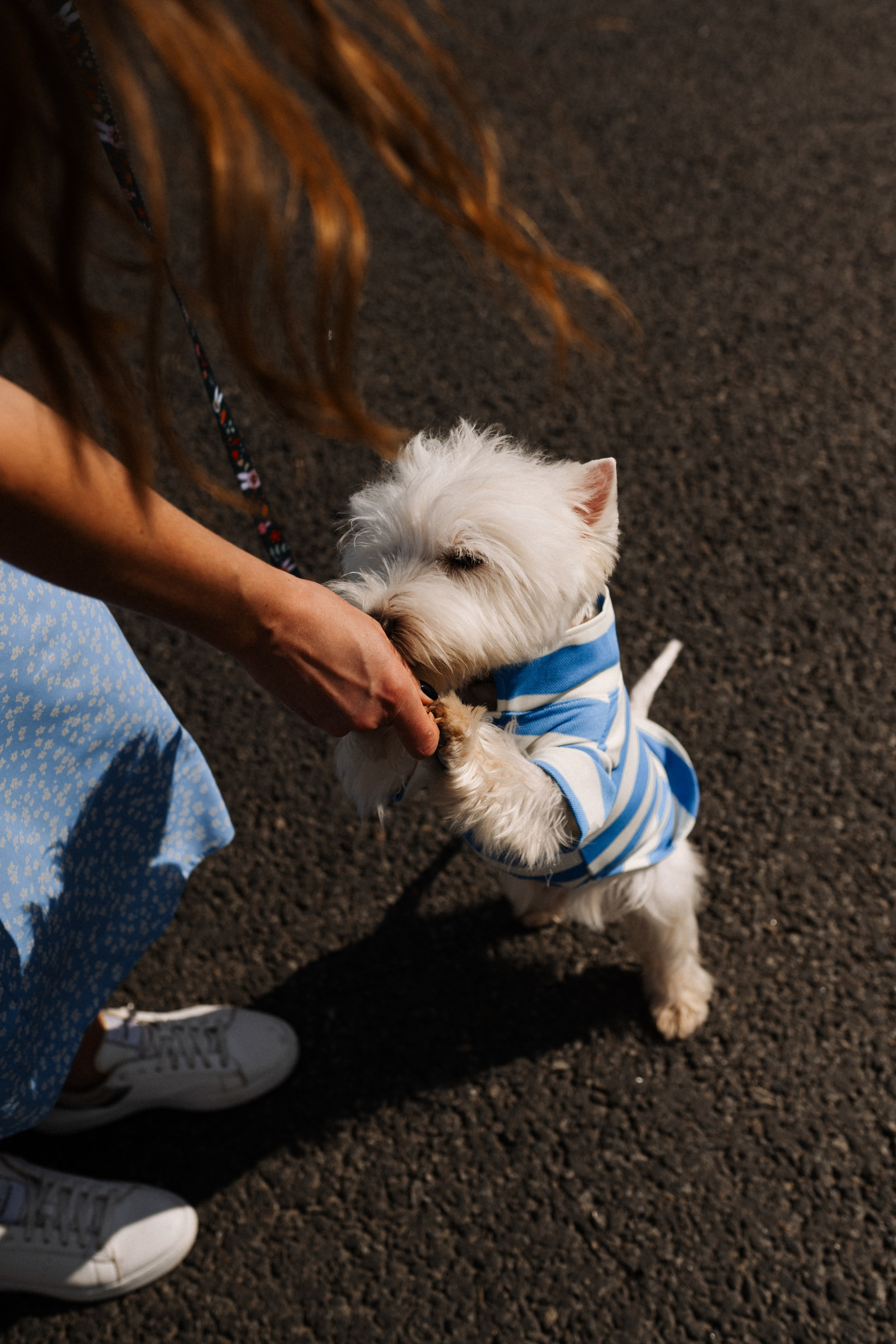Даша и Вайт. Фотограф анималист в Москве Ольга Агушева