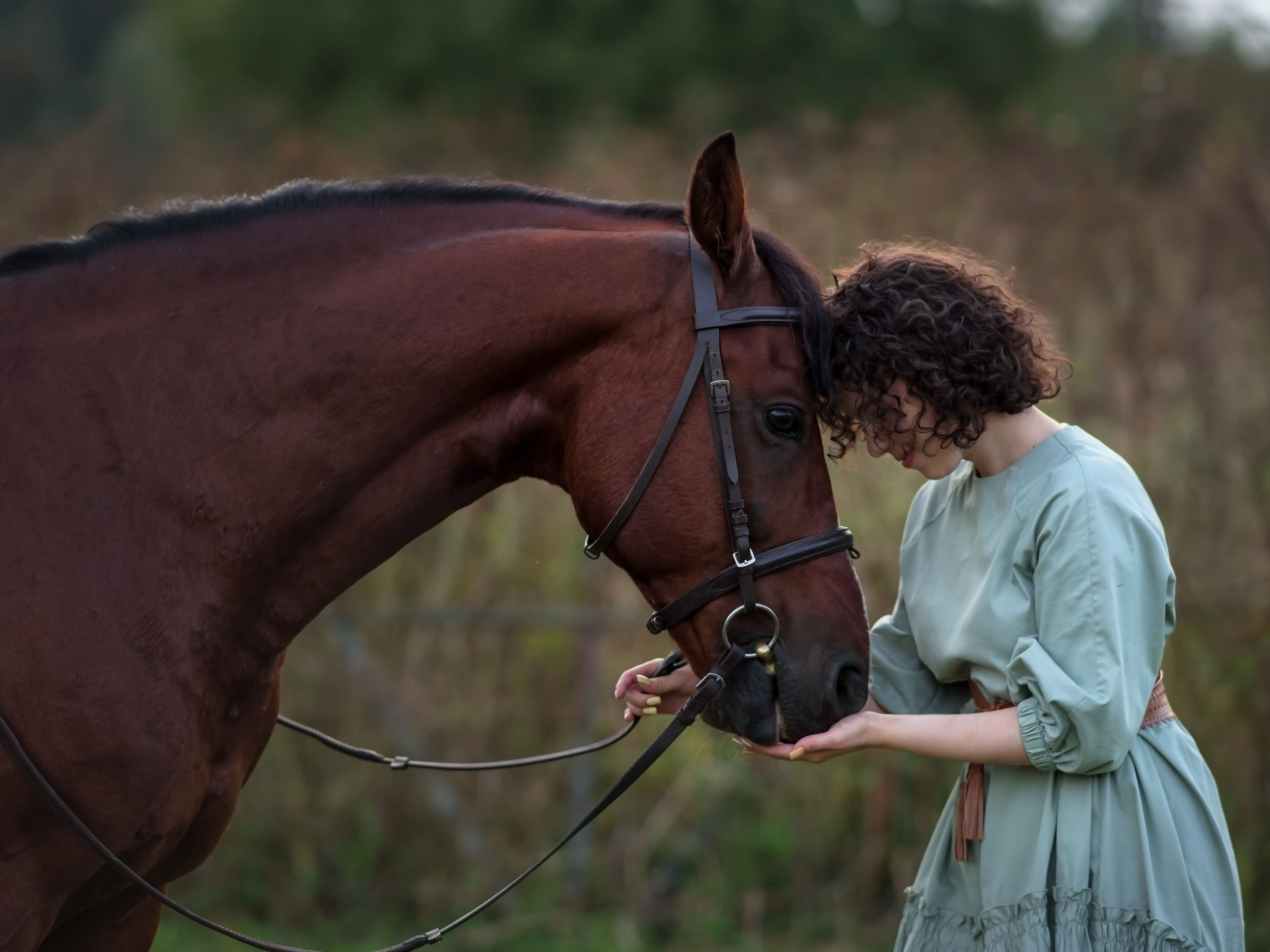Конная фото прогулка Троицк москва