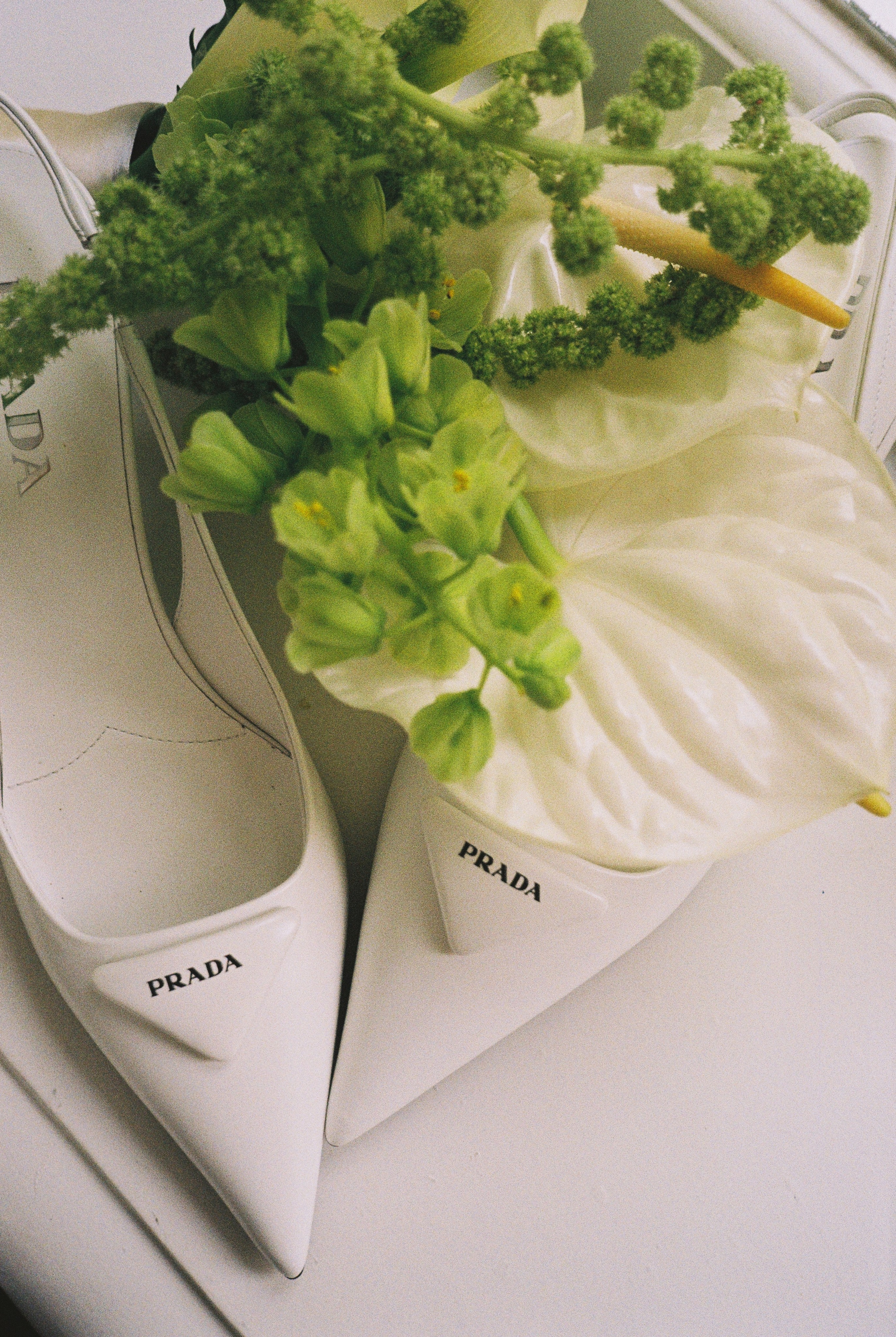 | Звёзды, влюбляясь, создают созвездия |. Свадебный фотограф в Москве и Санкт Петербурге Наталья Григорьева