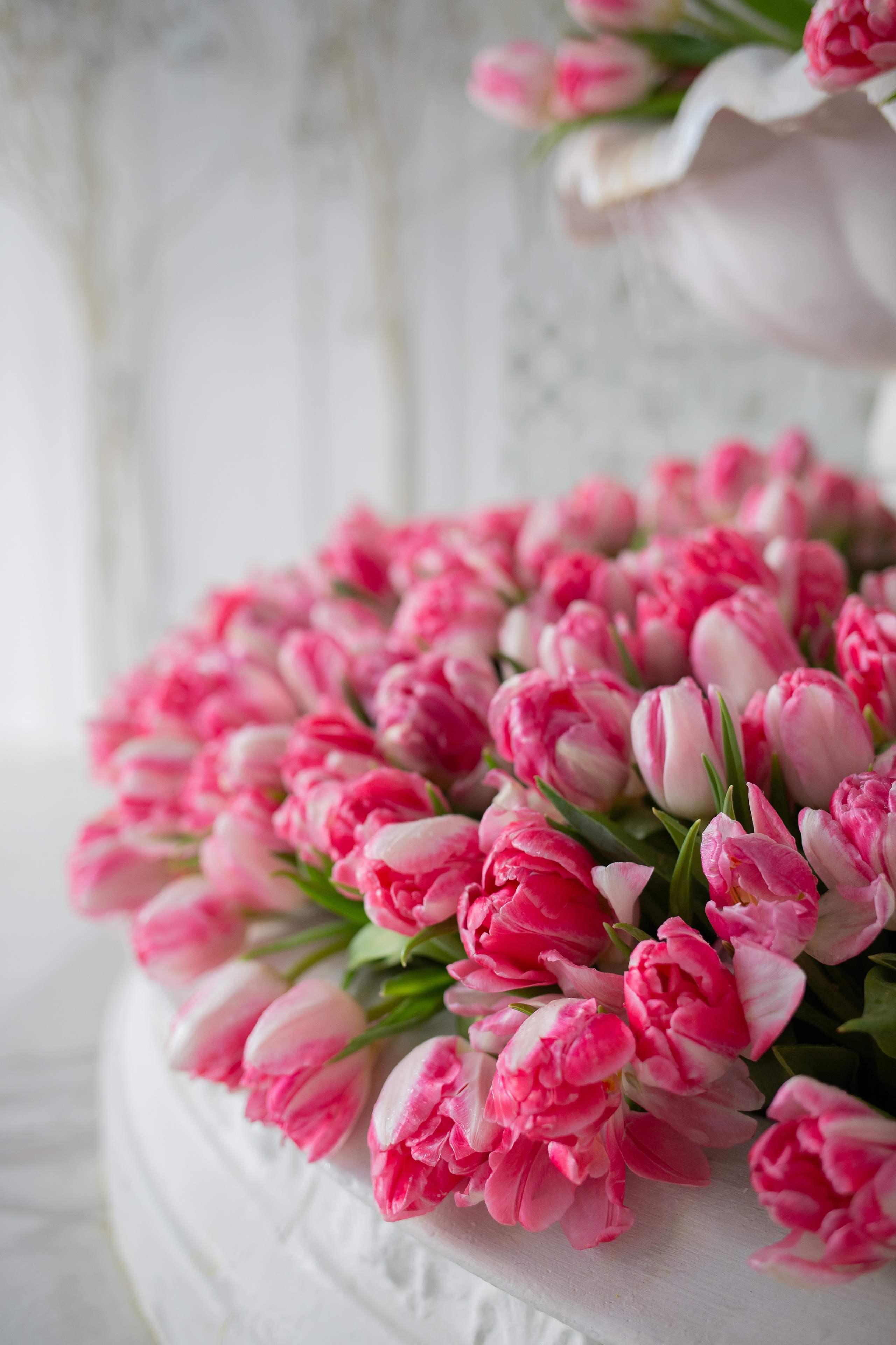 Жанна. Семейный фотограф Николаева Ольга