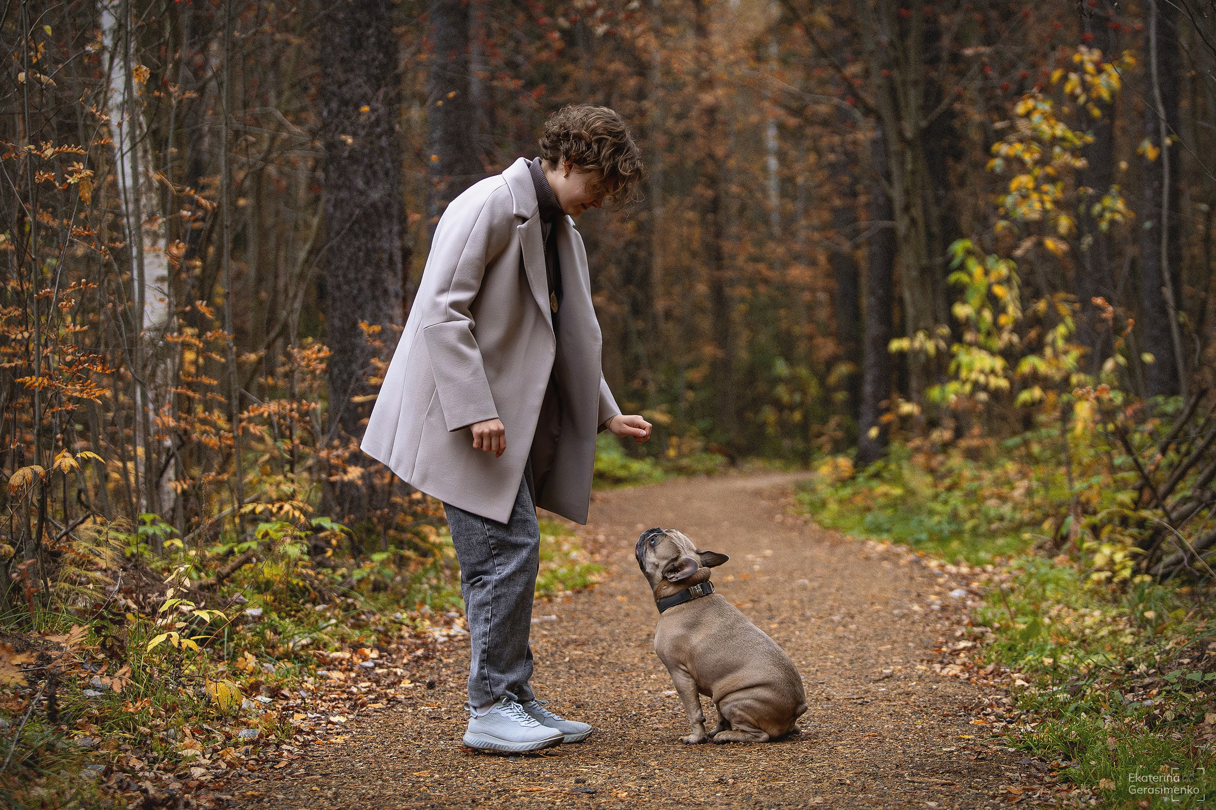 Французский бульдог Ника. Htykk_photo