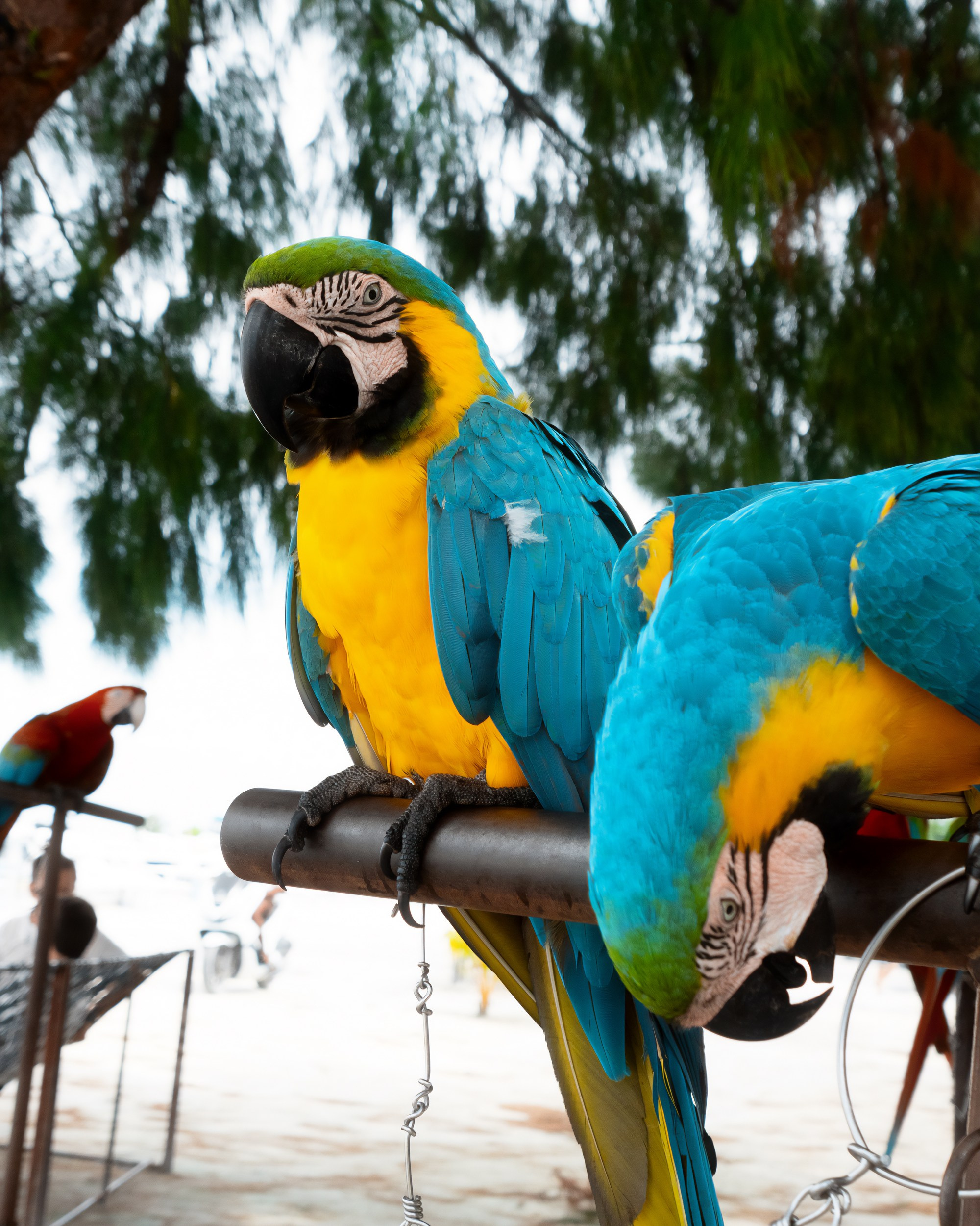 Ktokuda. Фотограф в Хабаровске. Фотография за 24 часа