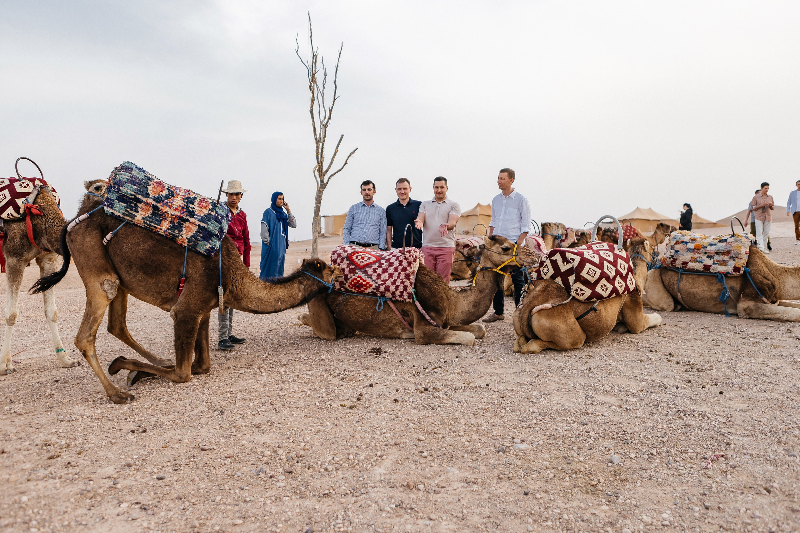 Марокко Альфа Банк. Фотограф в Москве Дмитрий Жарков