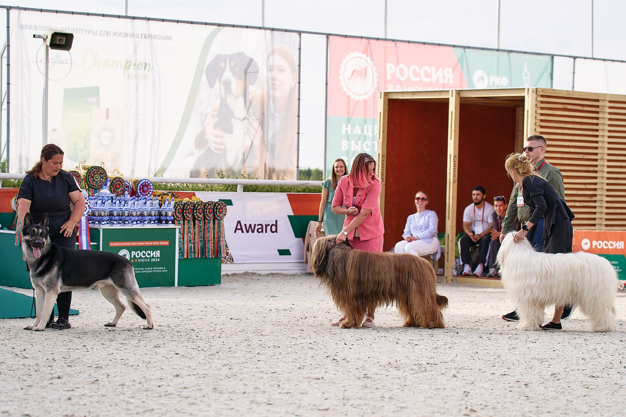 09.06.2024, «РОССИЯ. КУБОК МОСКВЫ 2024 & КУБОК ГОРОДОВ-ГЕРОЕВ»