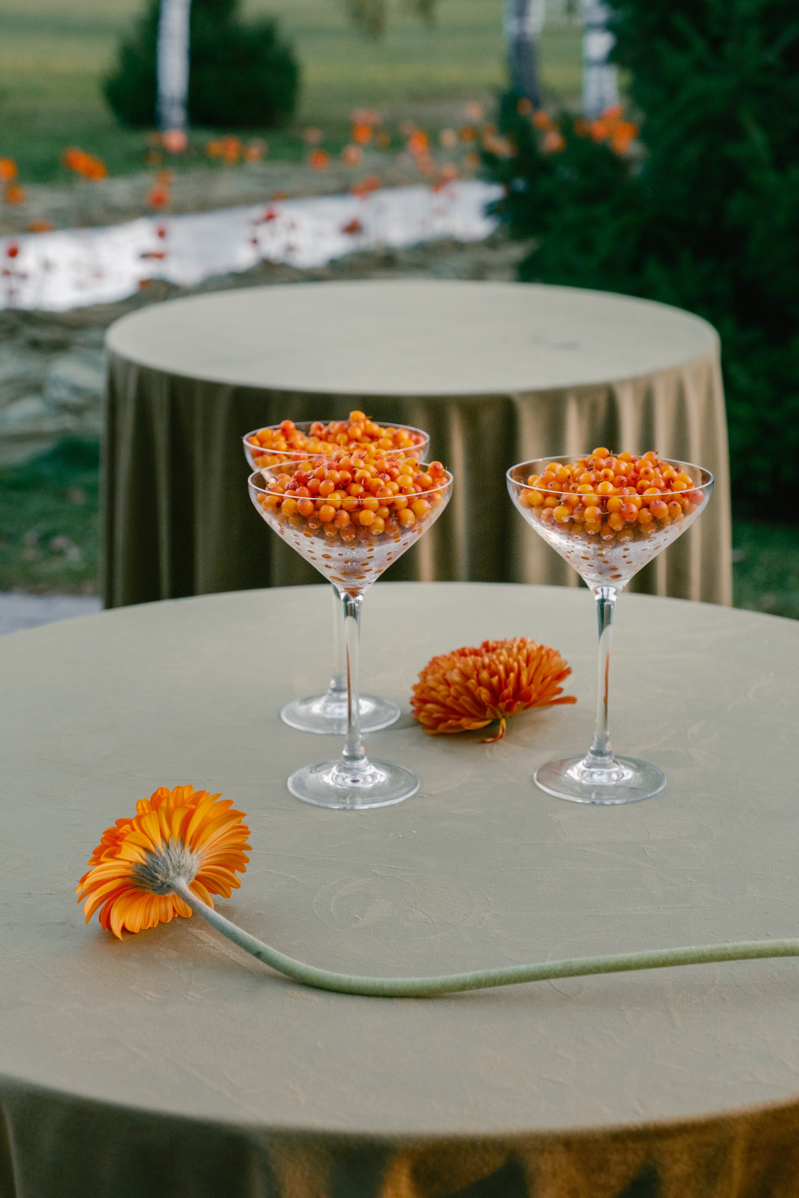 Сирак / Вероника. Свадебный Видеограф Фотограф в Сочи