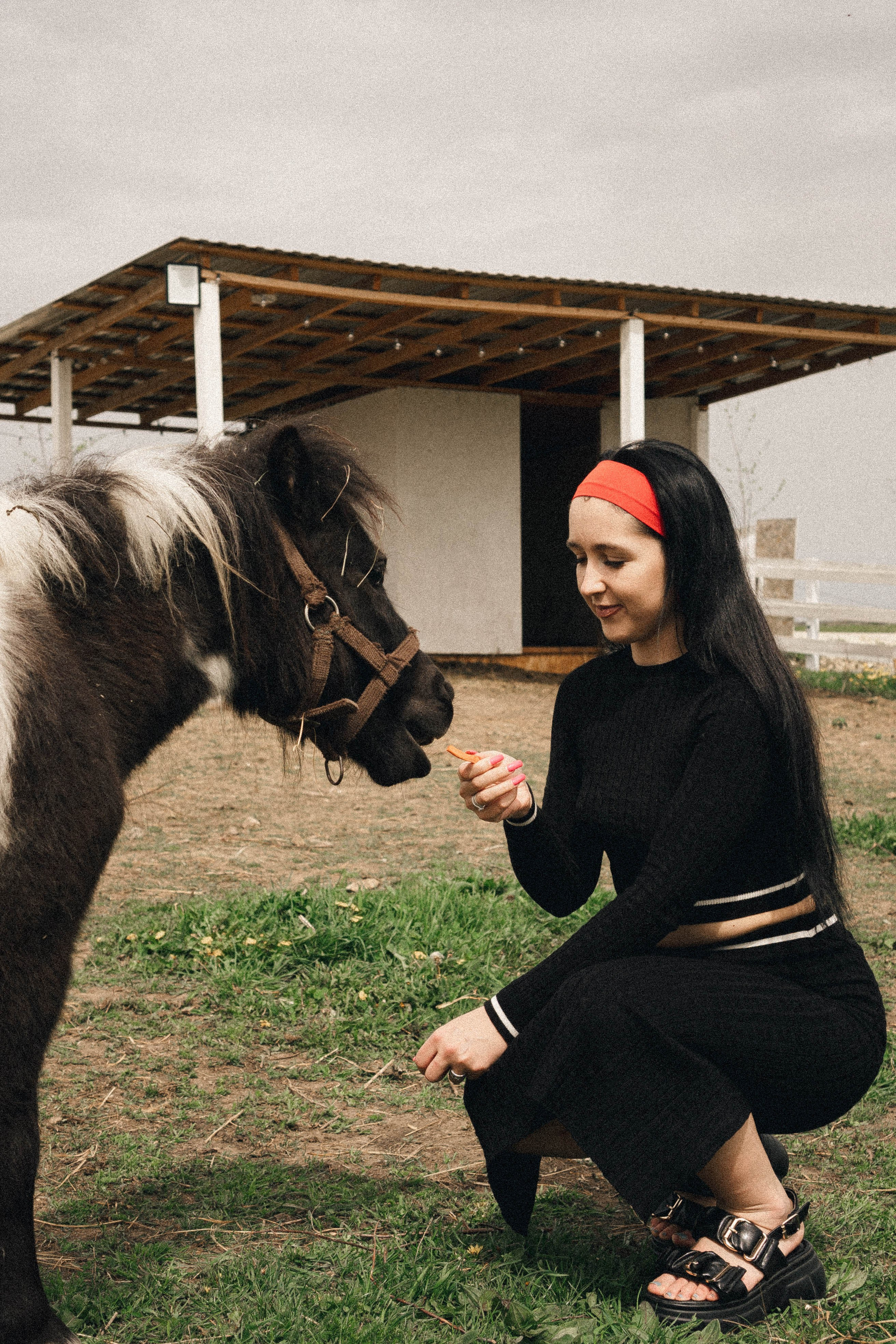 Ферма Альпак. Профессиональный фотограф, Санкт-Петербург — Виктория Богомолова