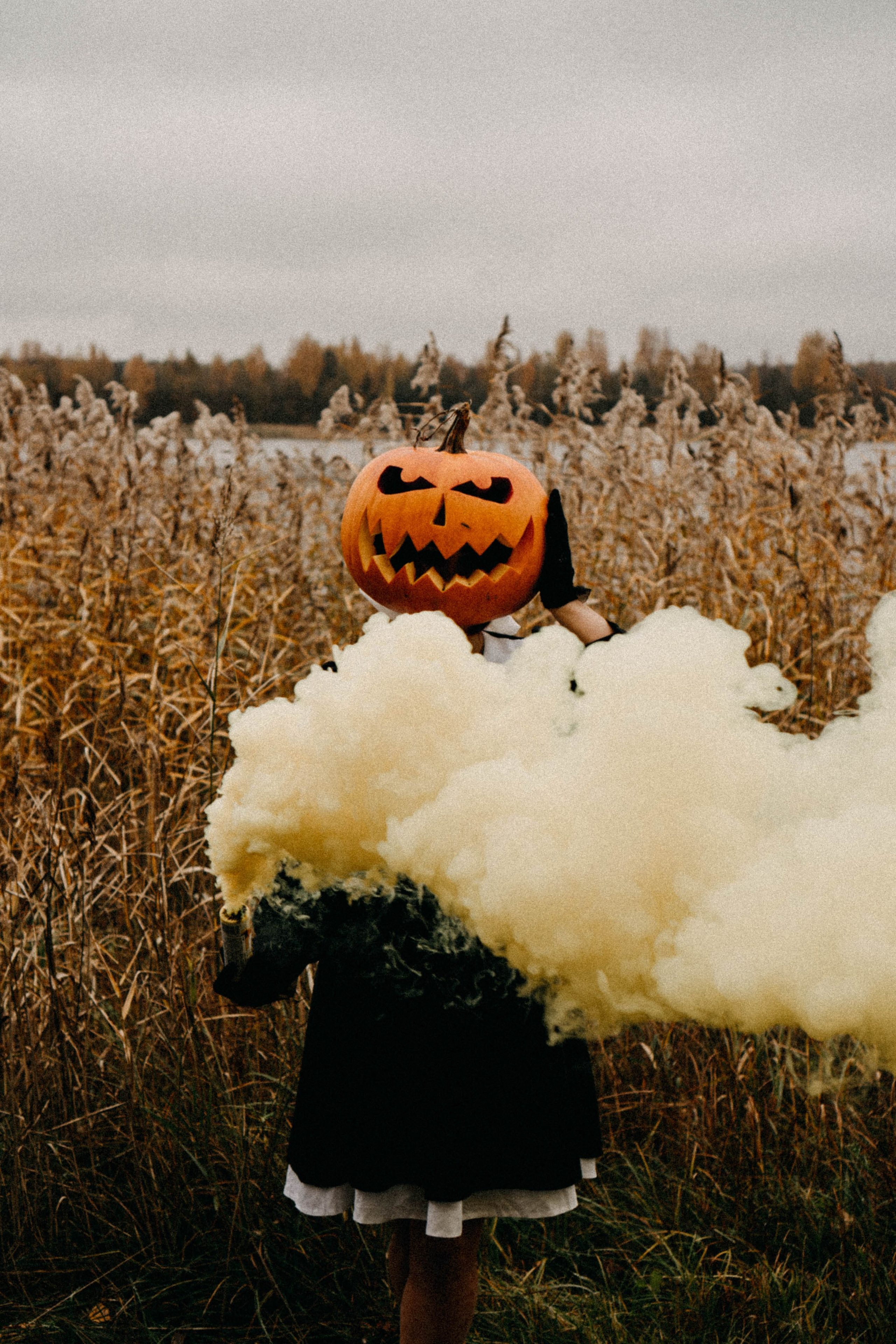 Осеняя. Профессиональный фотограф, Санкт-Петербург — Виктория Богомолова