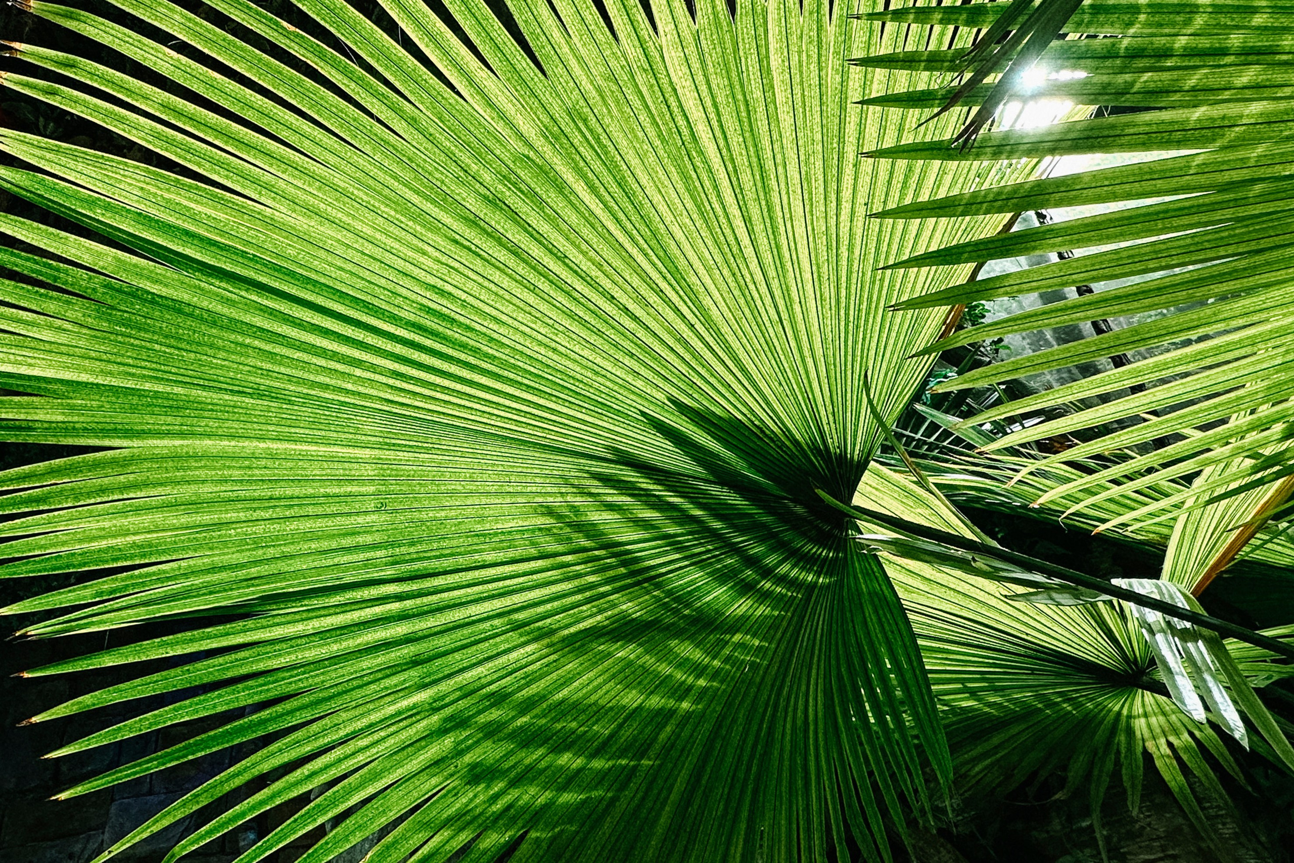 Природа. Команда фотографов Кристины Ивановой