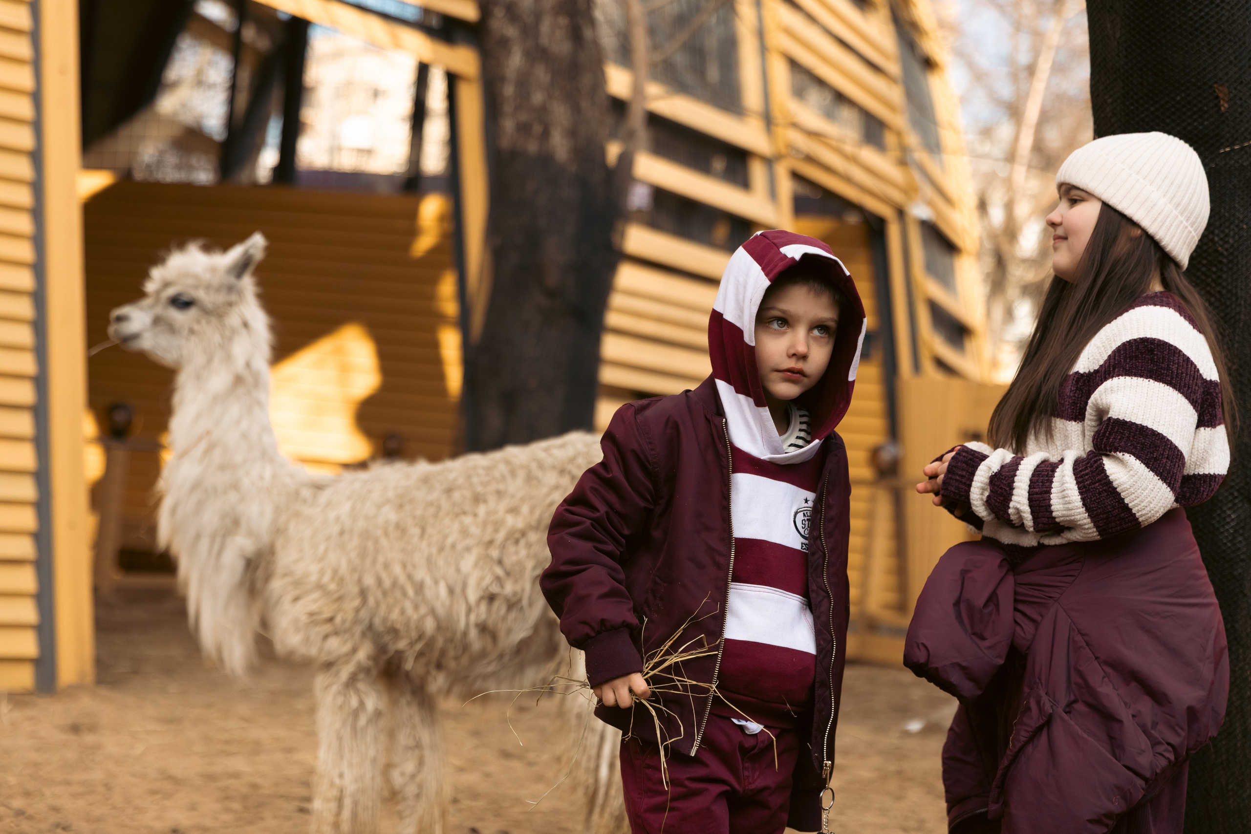 Zoo. Семейный фотограф Израиль