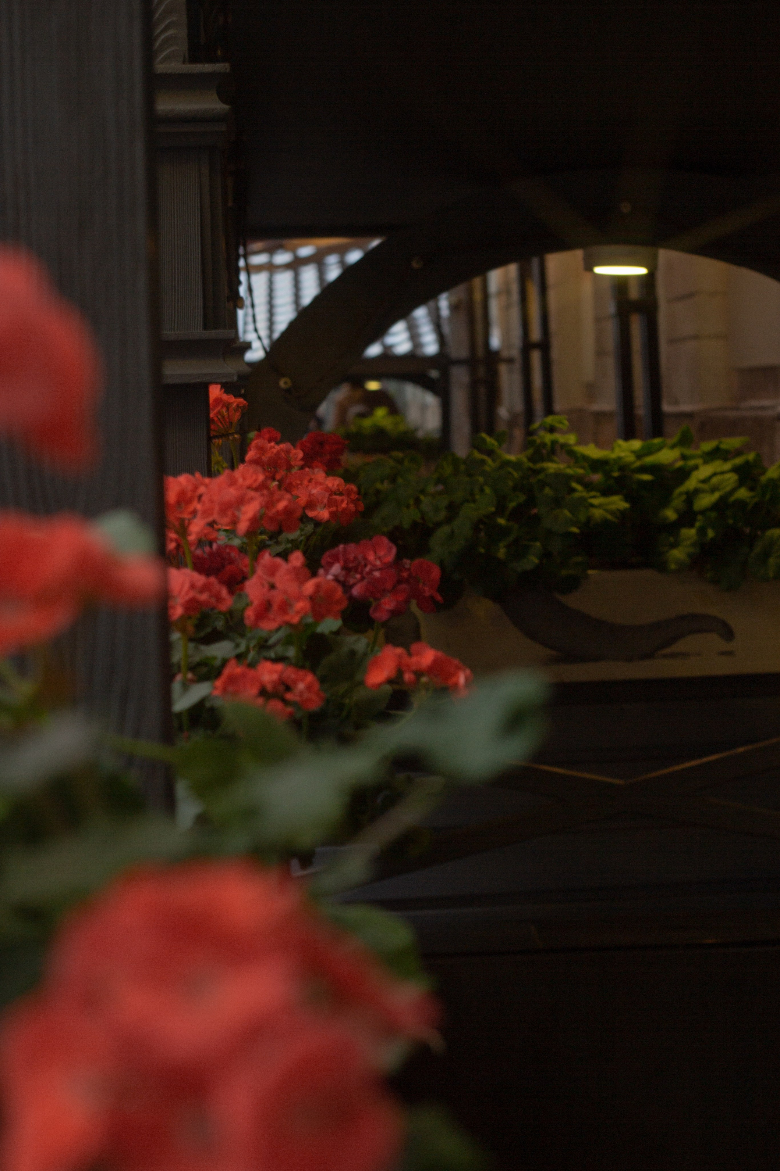 Street photo. Портретный фотограф DanilNabody