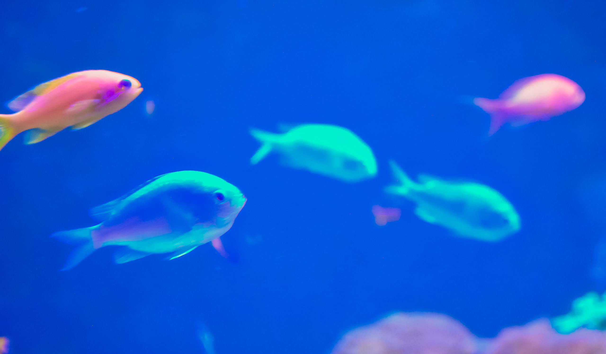 Аквапарк. Портретный фотограф DanilNabody