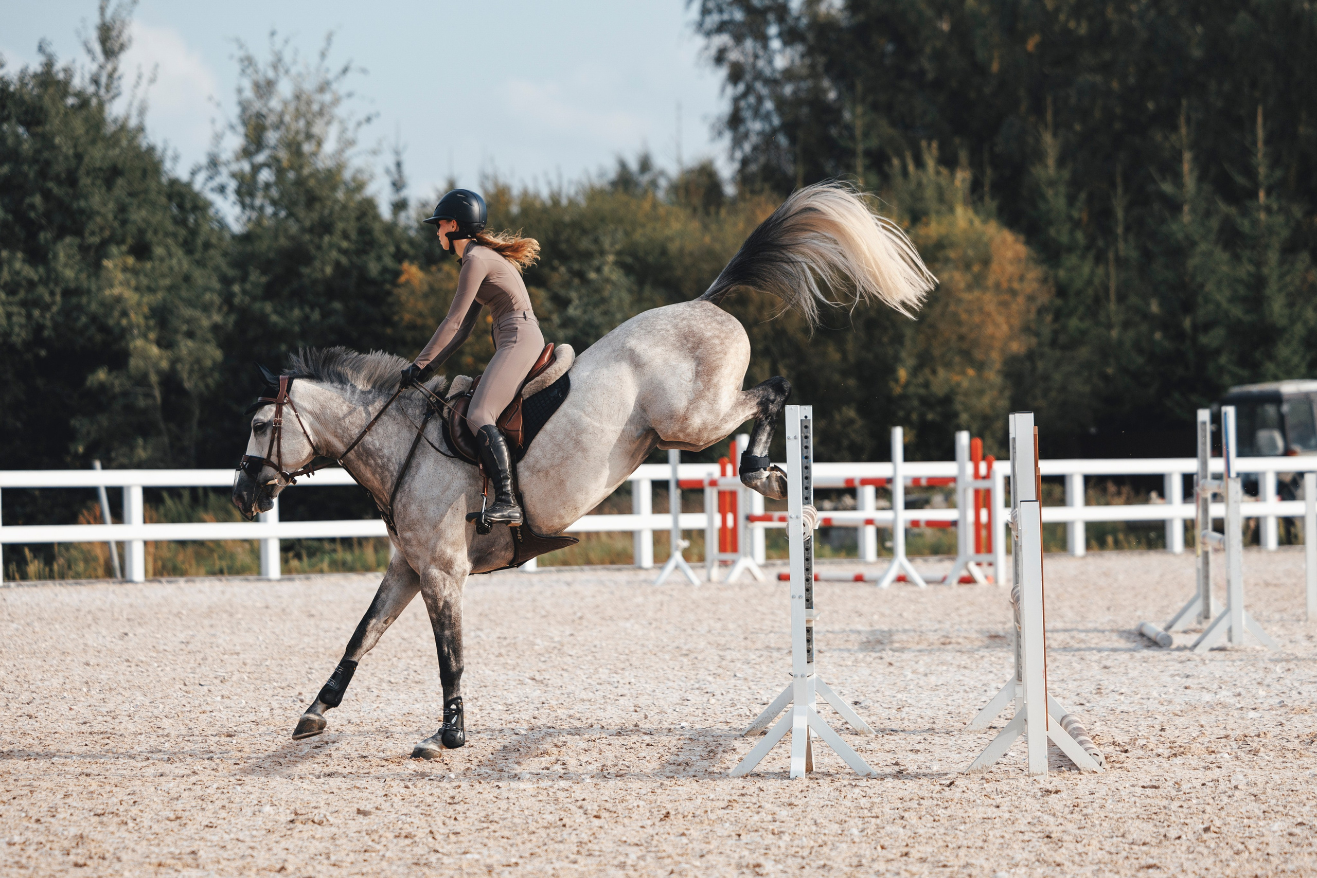 Конкур. Фотограф-анималист Анна Маринич