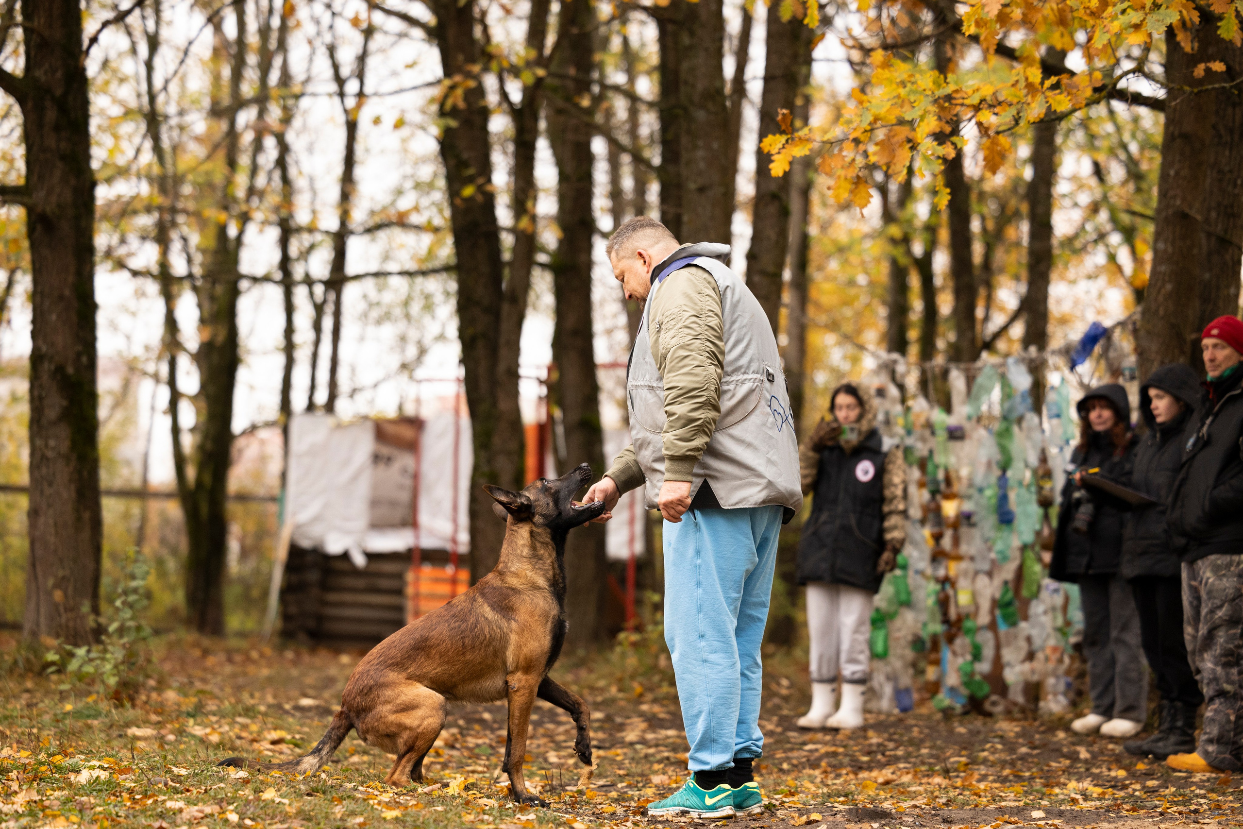 Соревнования по Мондьорингу г. Вологда. Фотограф-анималист Анна Маринич