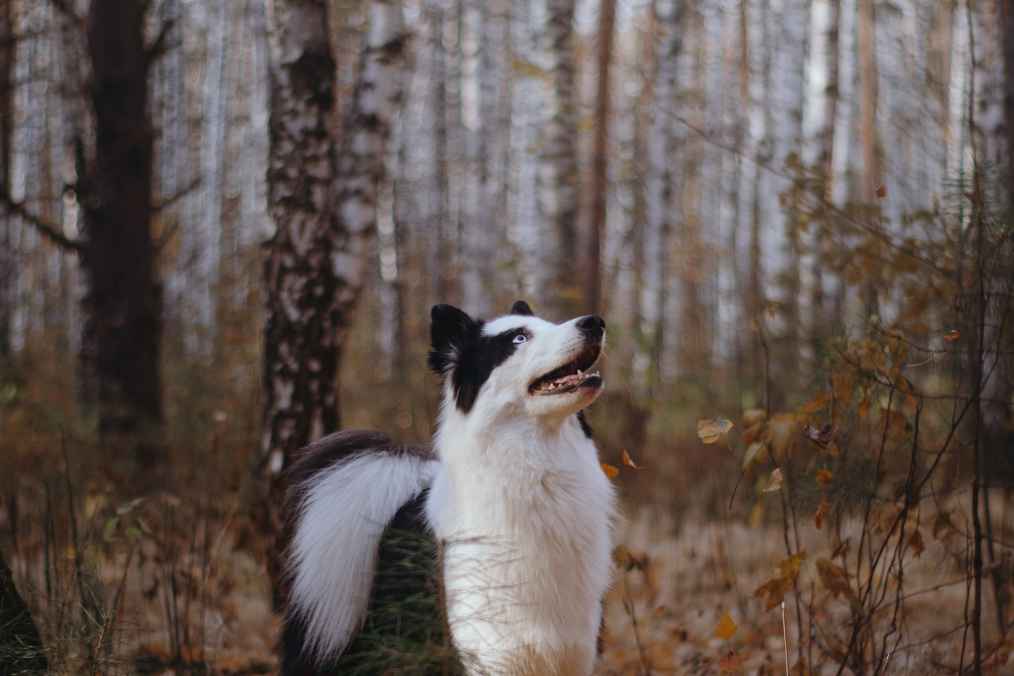 Ликёр. Фотограф в Тюмени Лизавета Сапицкая