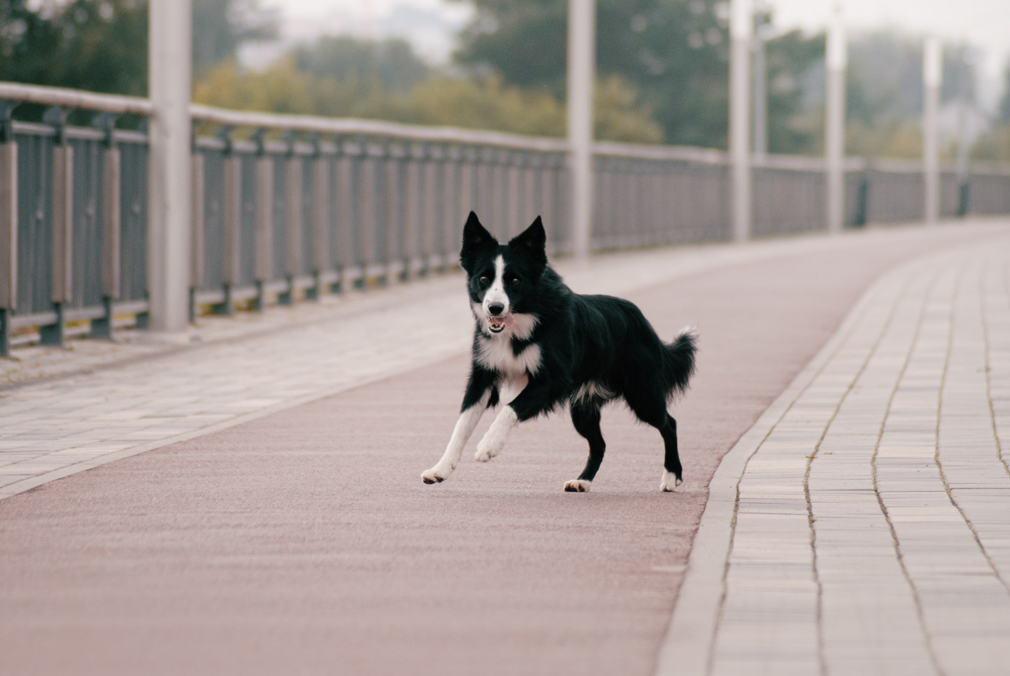 Макс. Фотограф в Тюмени Лизавета Сапицкая