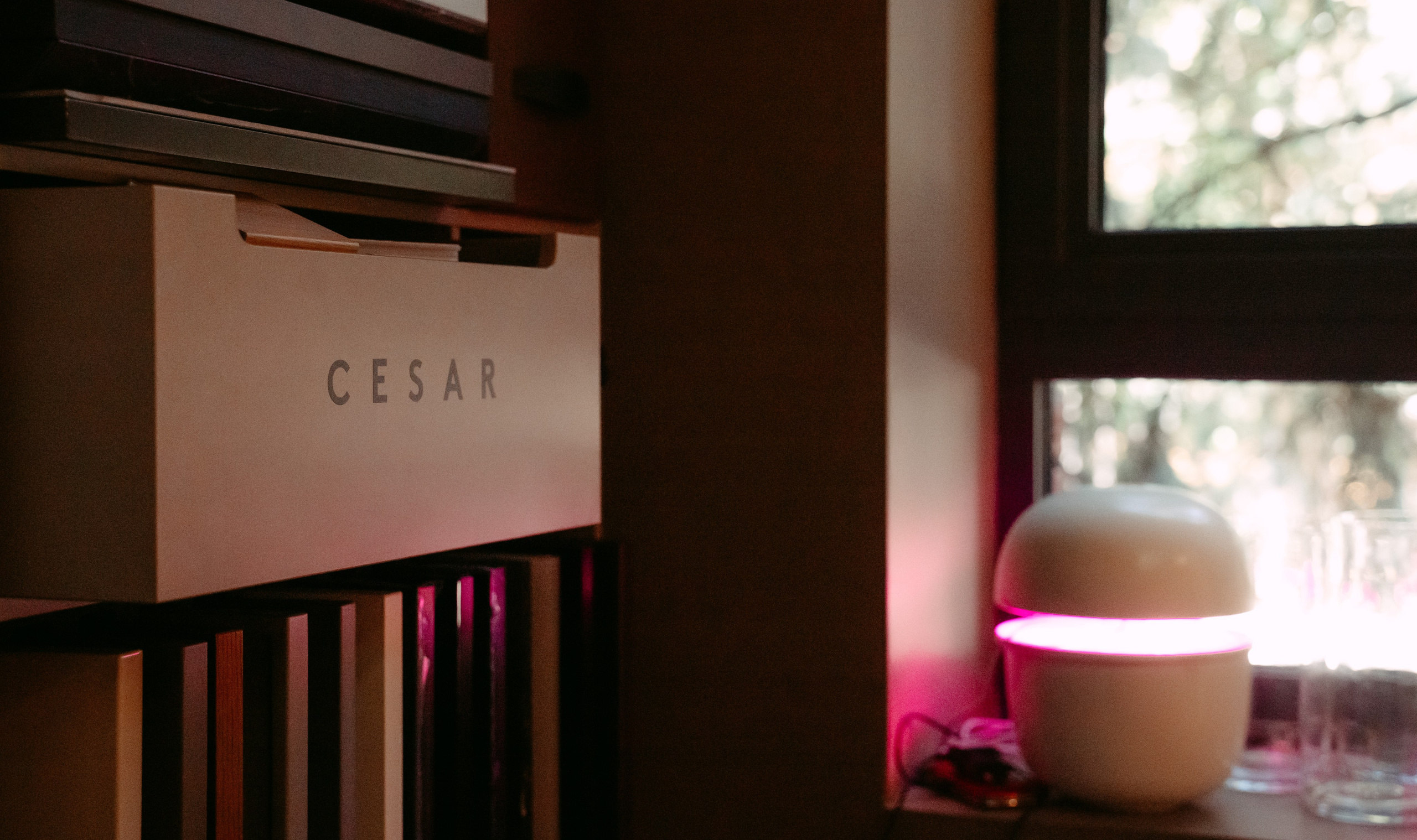 Cesar, Lualdi. Презентация итальянских брендов / 2024. Саша Копылов, фотограф в Казани