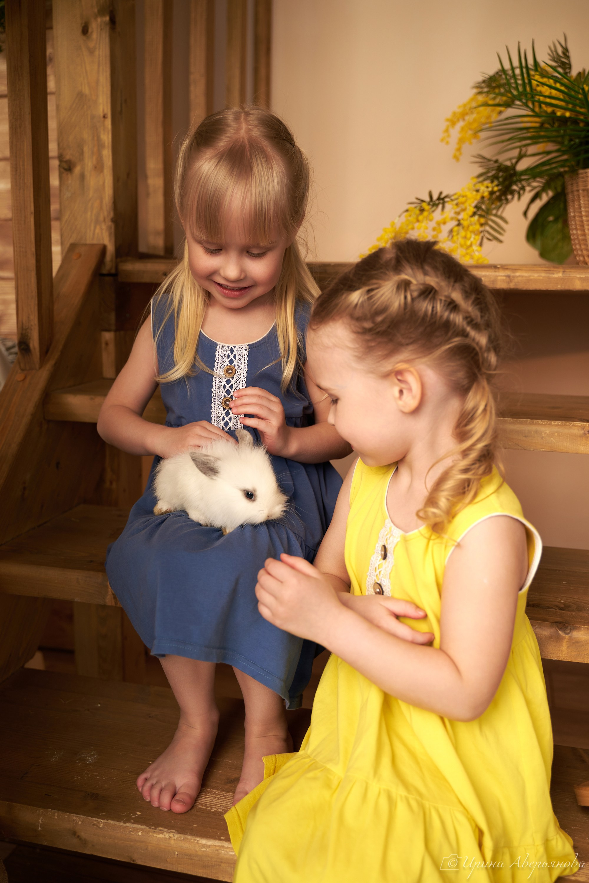 Фотопроект с декоративными кроликами. Фотограф в Ульяновске Ирина Аверьянова