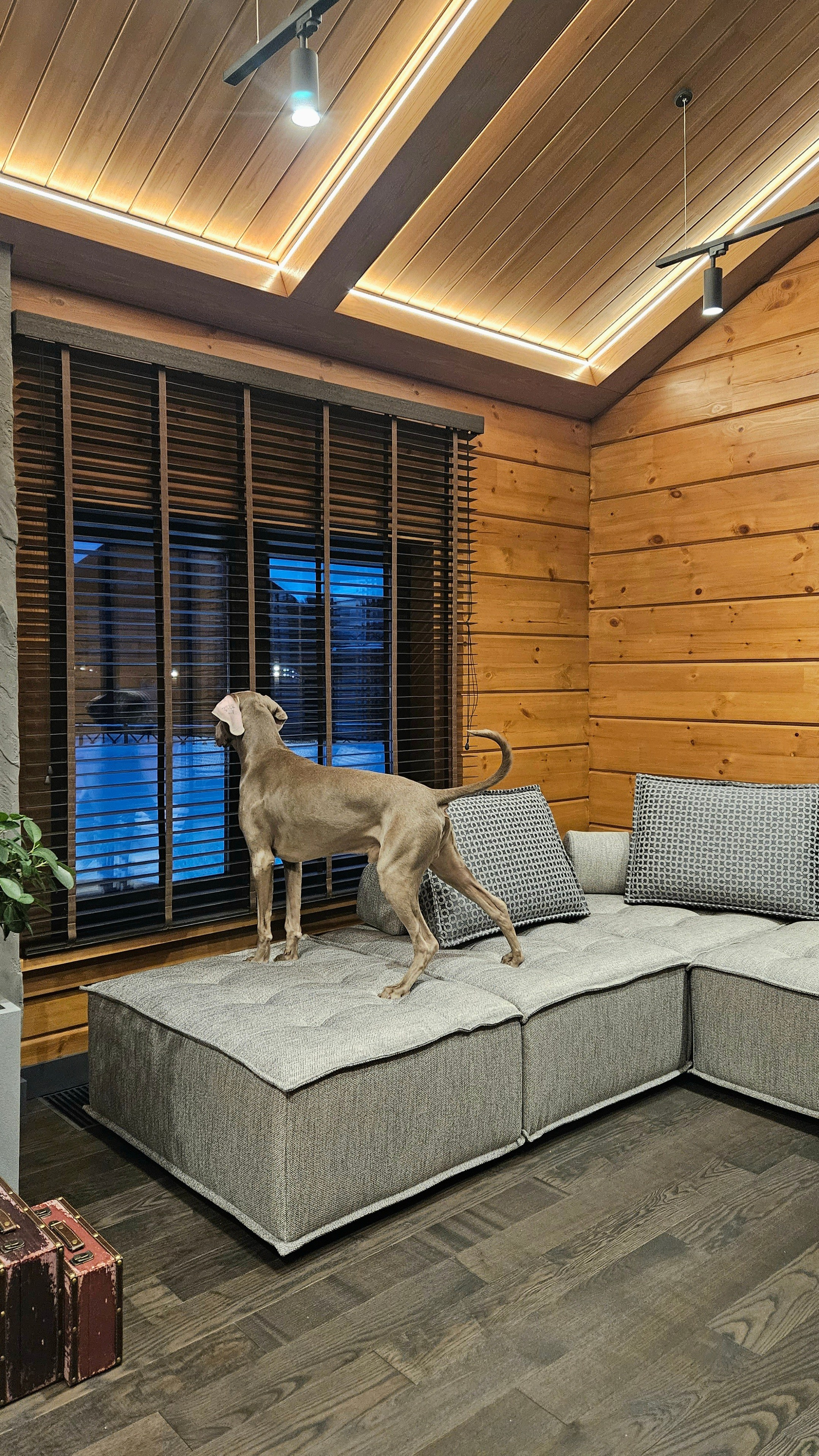 Диван на заказ Изготовление мягкой мебели. Студия интерьерных решений SUNHOUSE. Натяжные потолки, шторы, текстиль