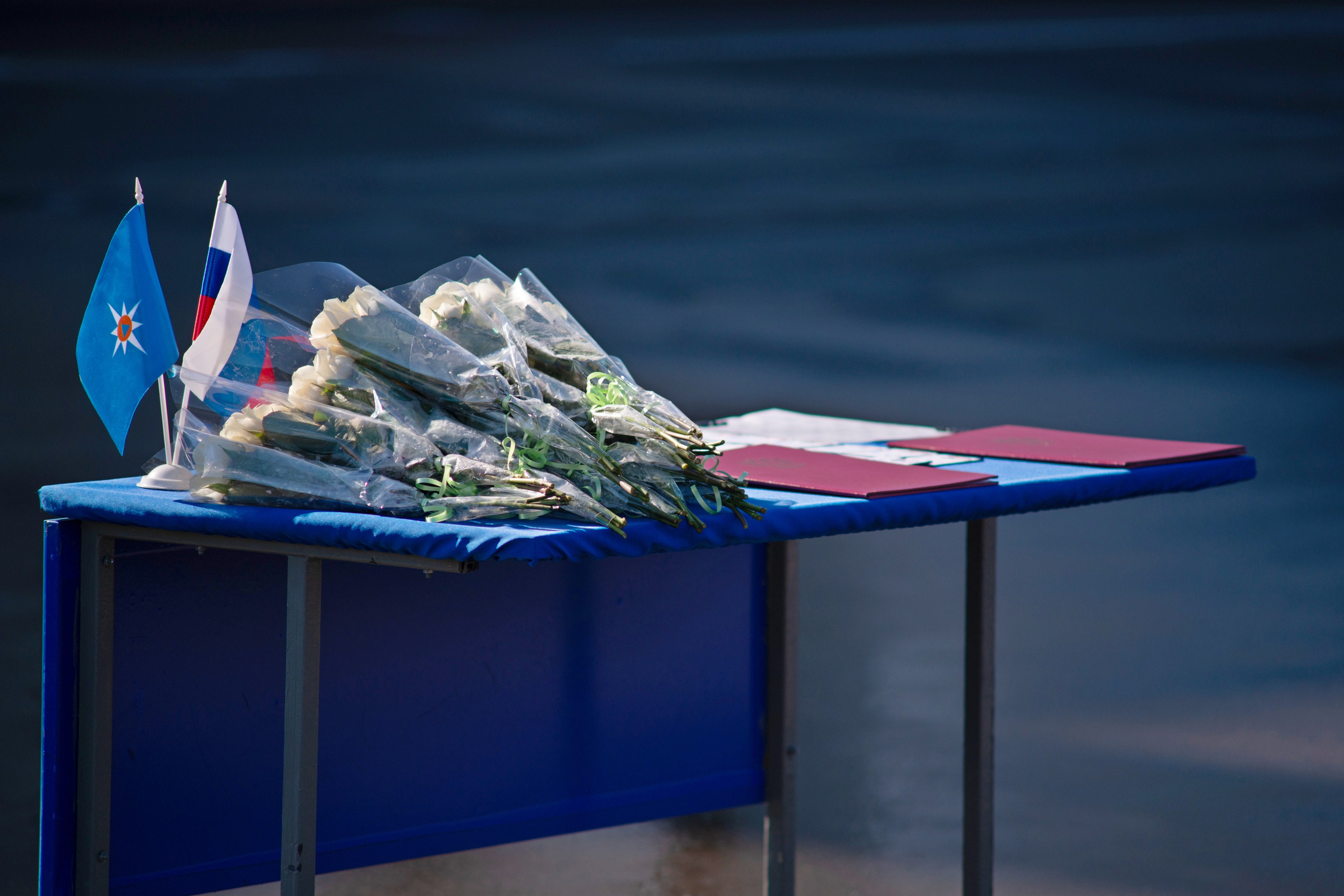 Присяга Академии МЧС на ВДНХ. Фотограф в Москве — Георгий Чернышов