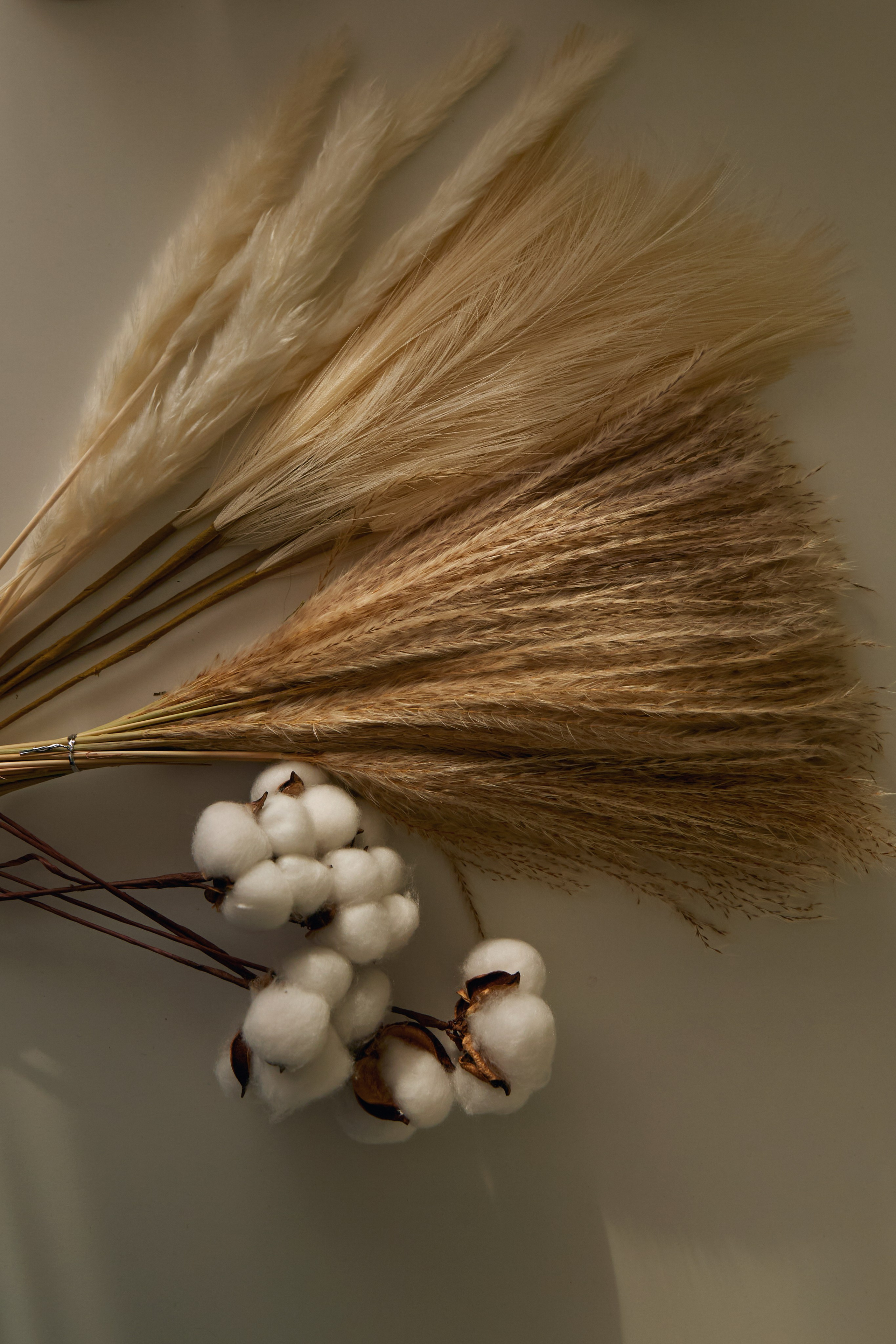 Реквизит для предметной съемки. Content Studio фотостудия