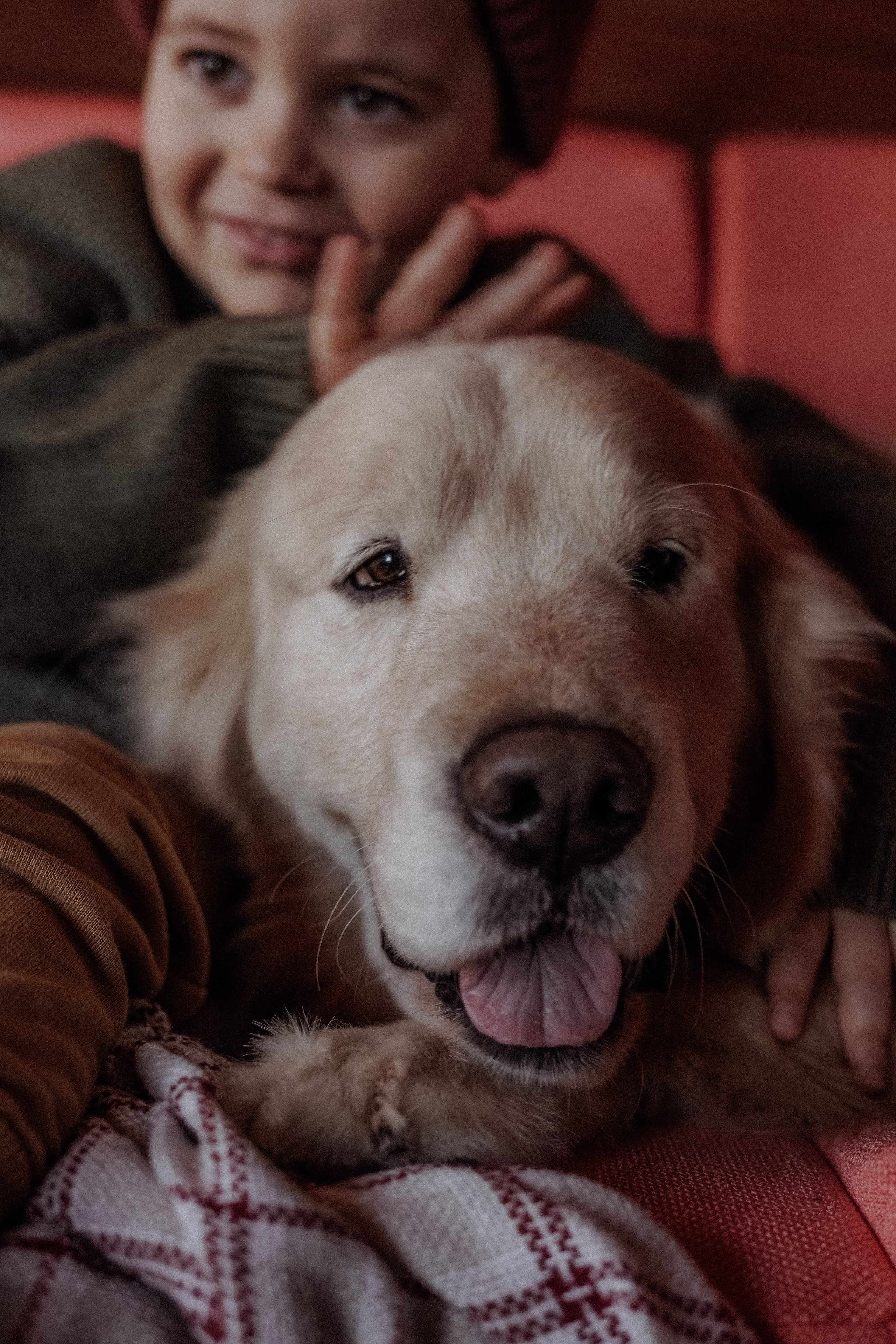 Лучший друг. Свадебный и семейный фотограф Афанасьева Анна в Кисловодске
