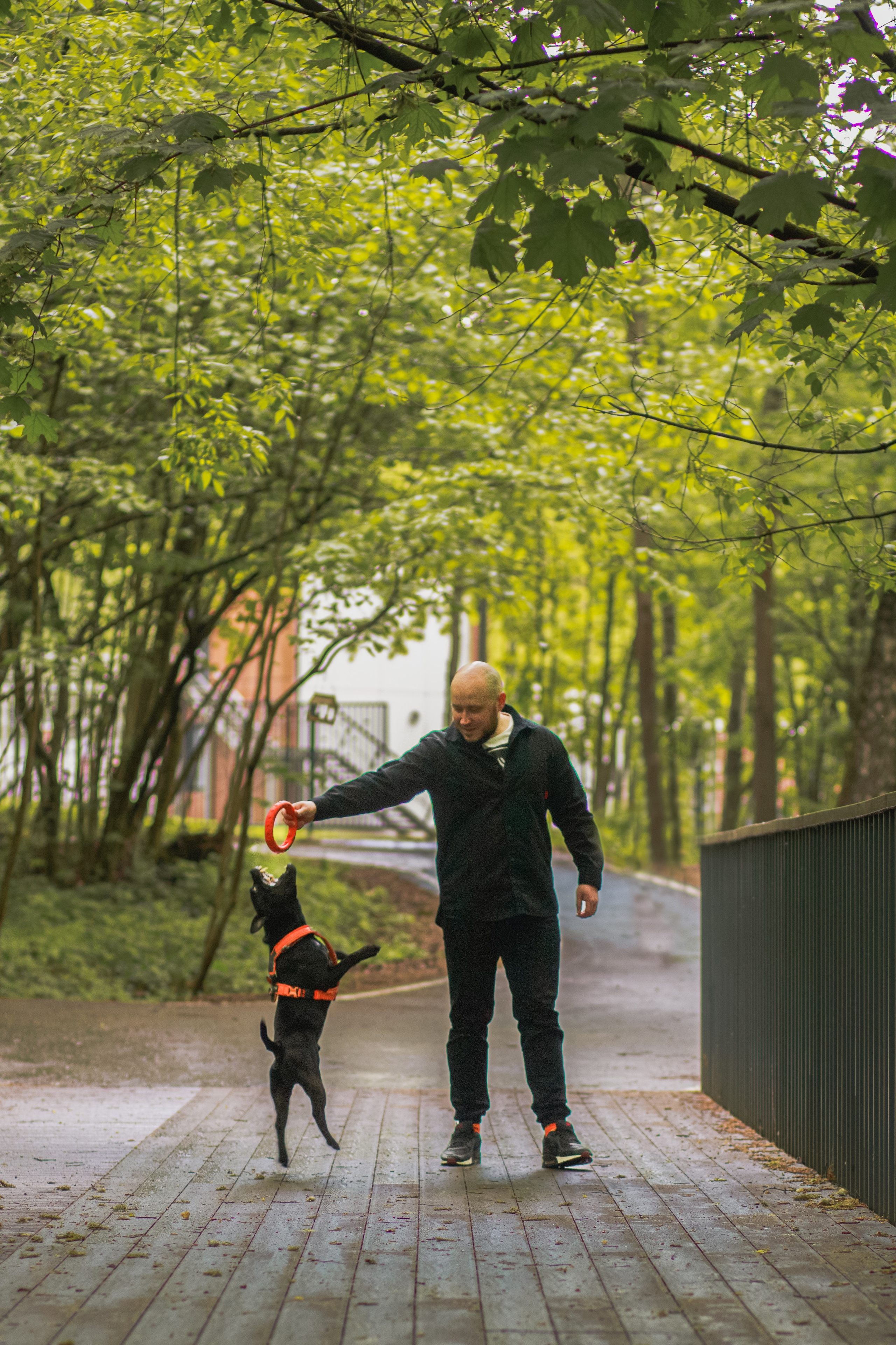 Фотопрогулка большой семьи с двумя собаками летом. Семейный и школьный фотограф в Москве Анна Ткач