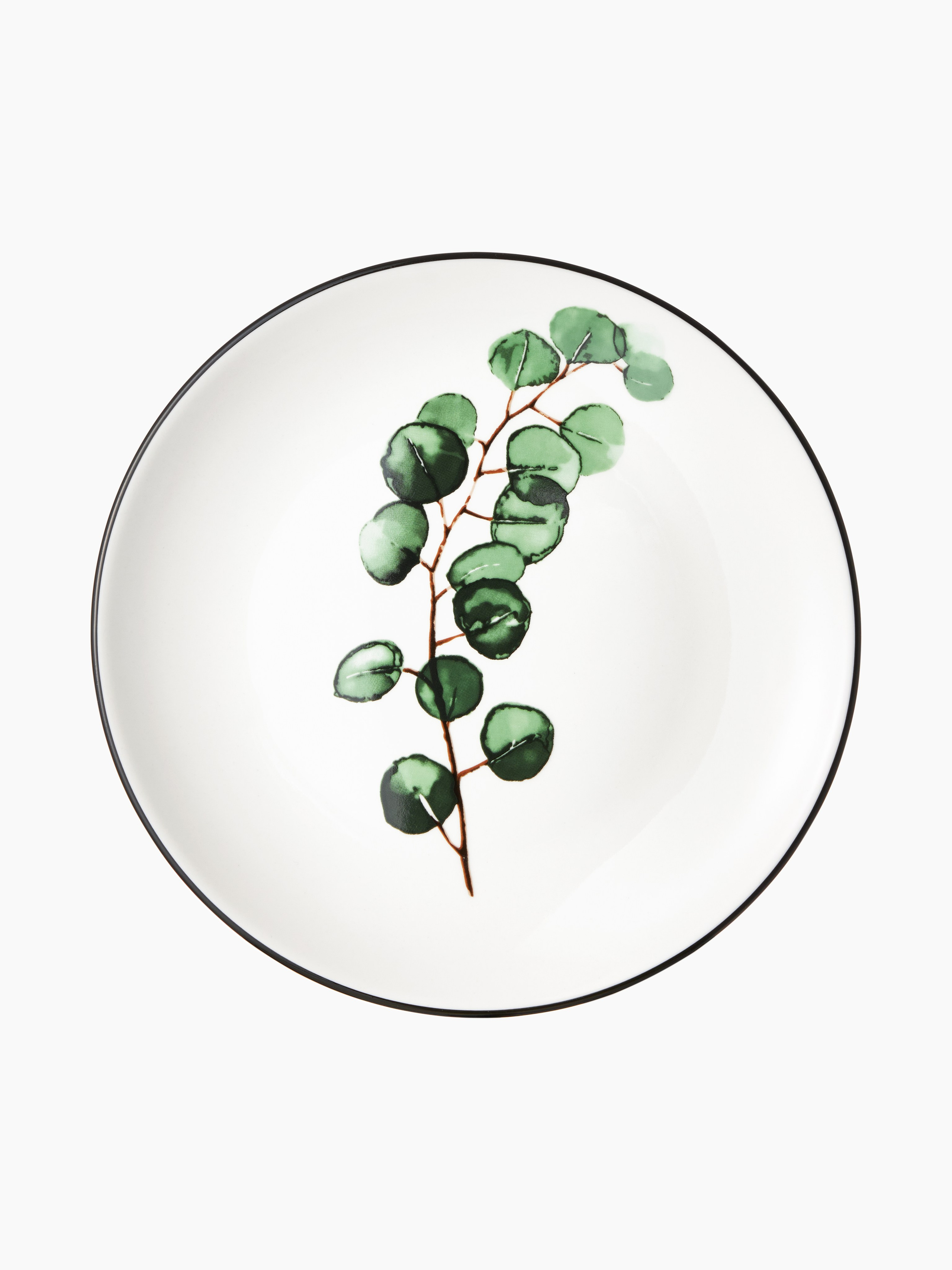 Каталог на белом фоне. Портфолио