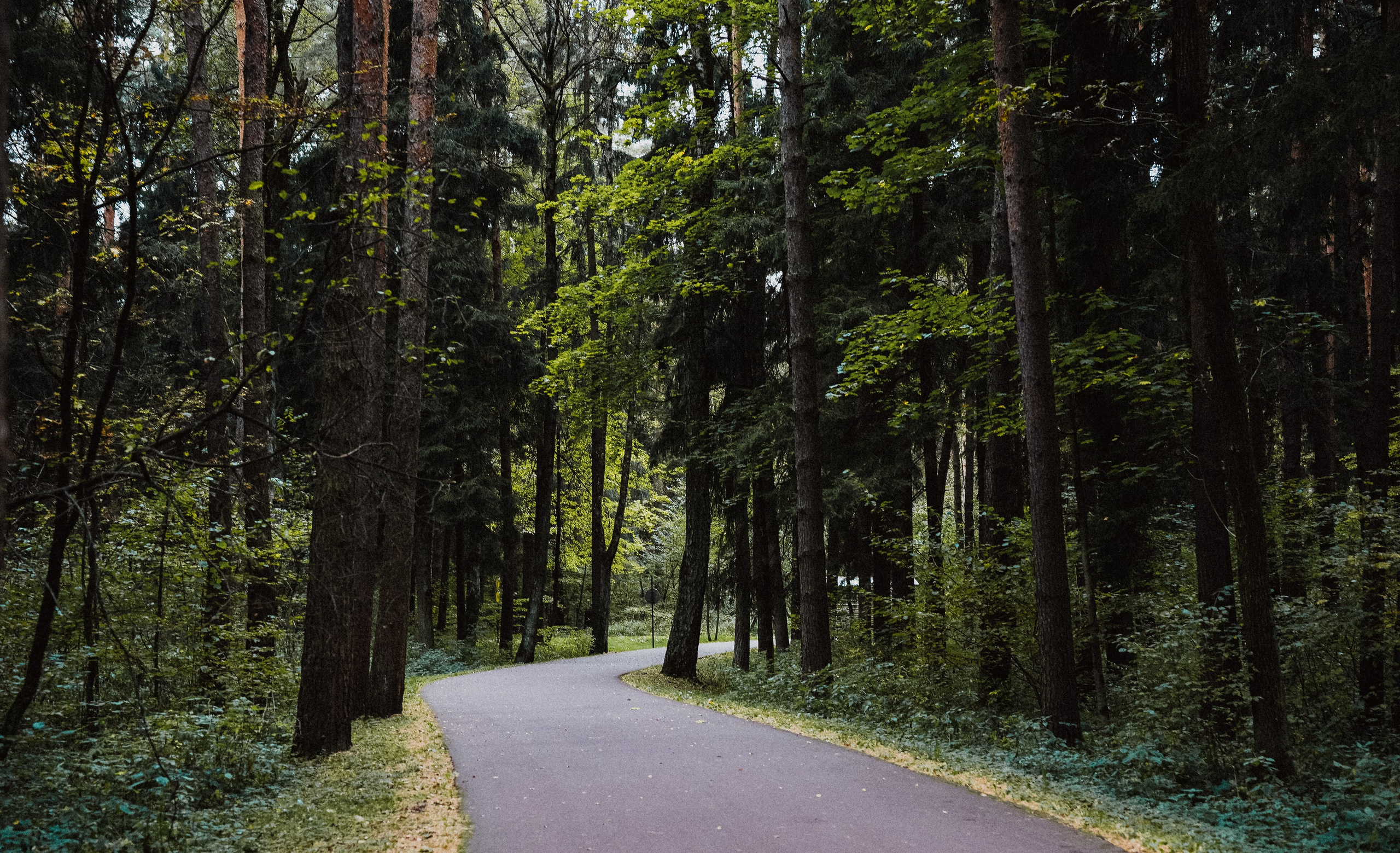Осень 2025. Фотограф из Москвы — DASHA NOVA | Авторская фотография в разных жанрах