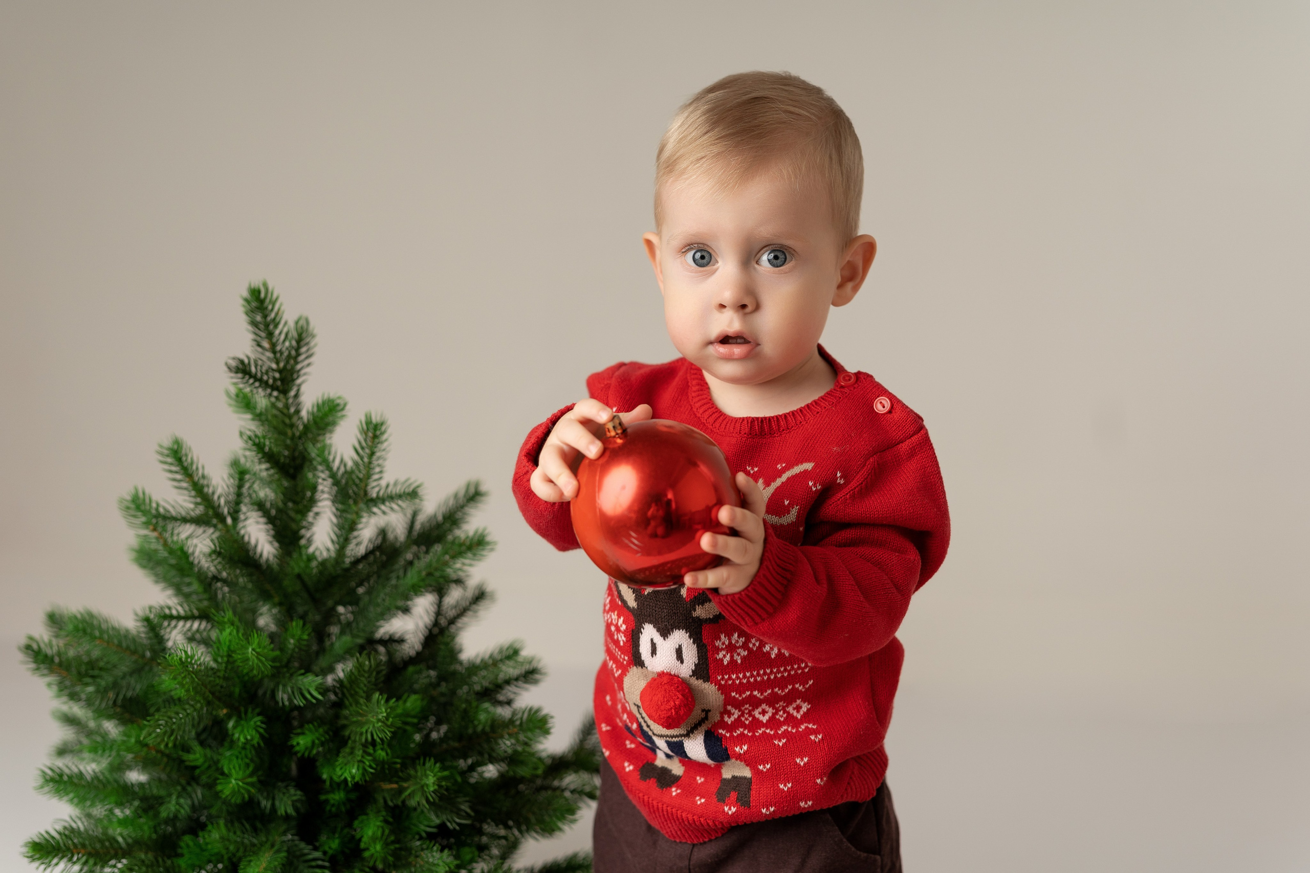 НОВОГОДНИЙ 2023-2024. Фотограф новорожденных г. Рязань, детский и семейный фотограф