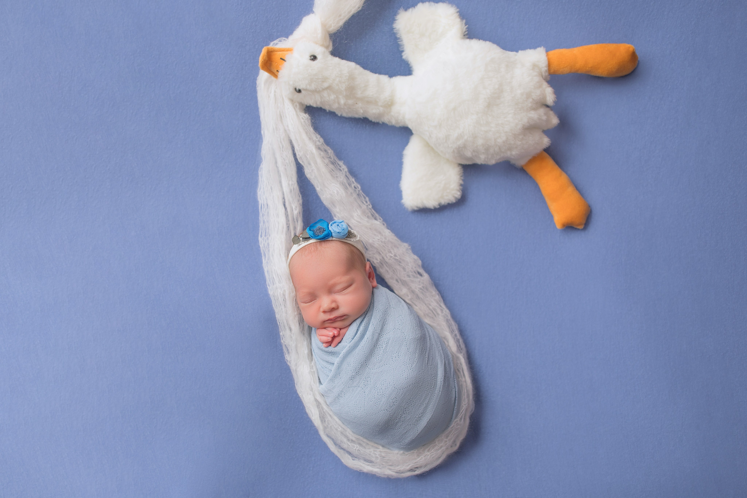 Фотосъемка младенцев Хабаровск, фотосессия новорожденных Хабаровск, фотосессия newborn Хабаровск