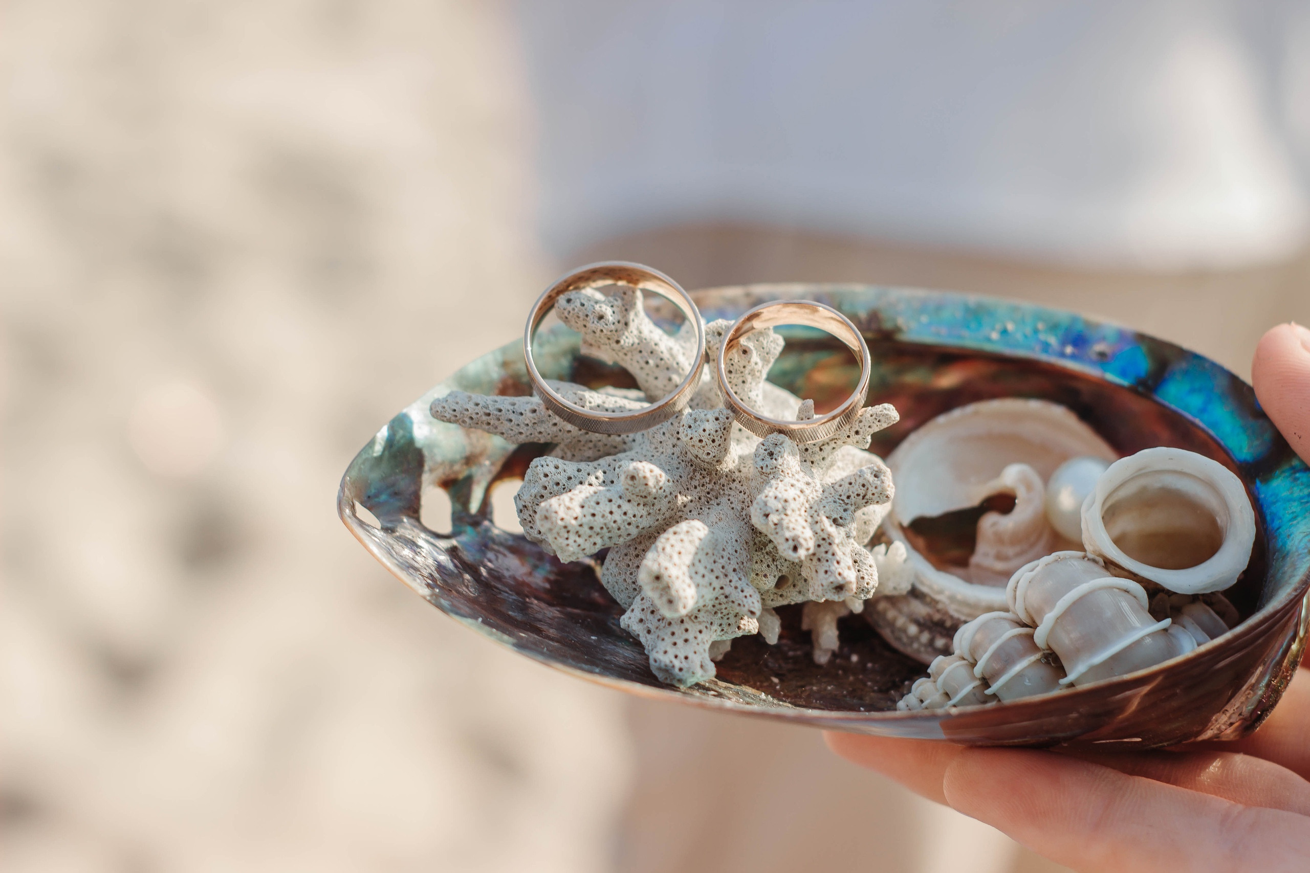 Wedding Day. Фотограф Алиса Субботина