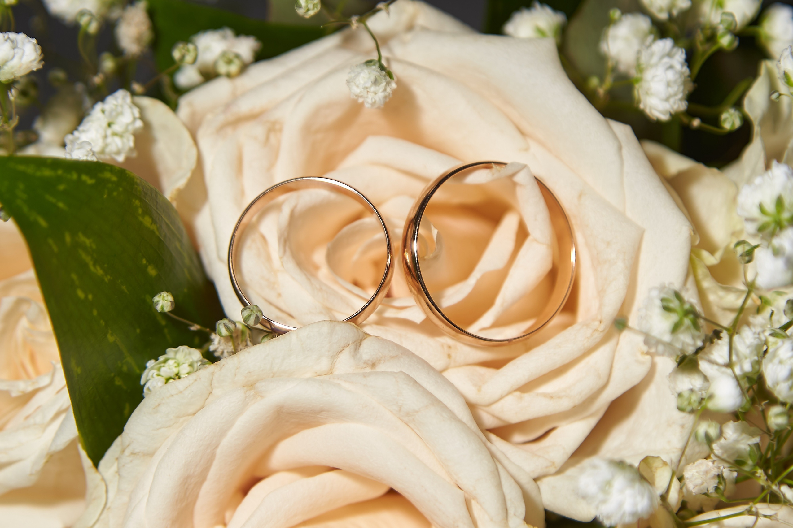 Дарья и Амир