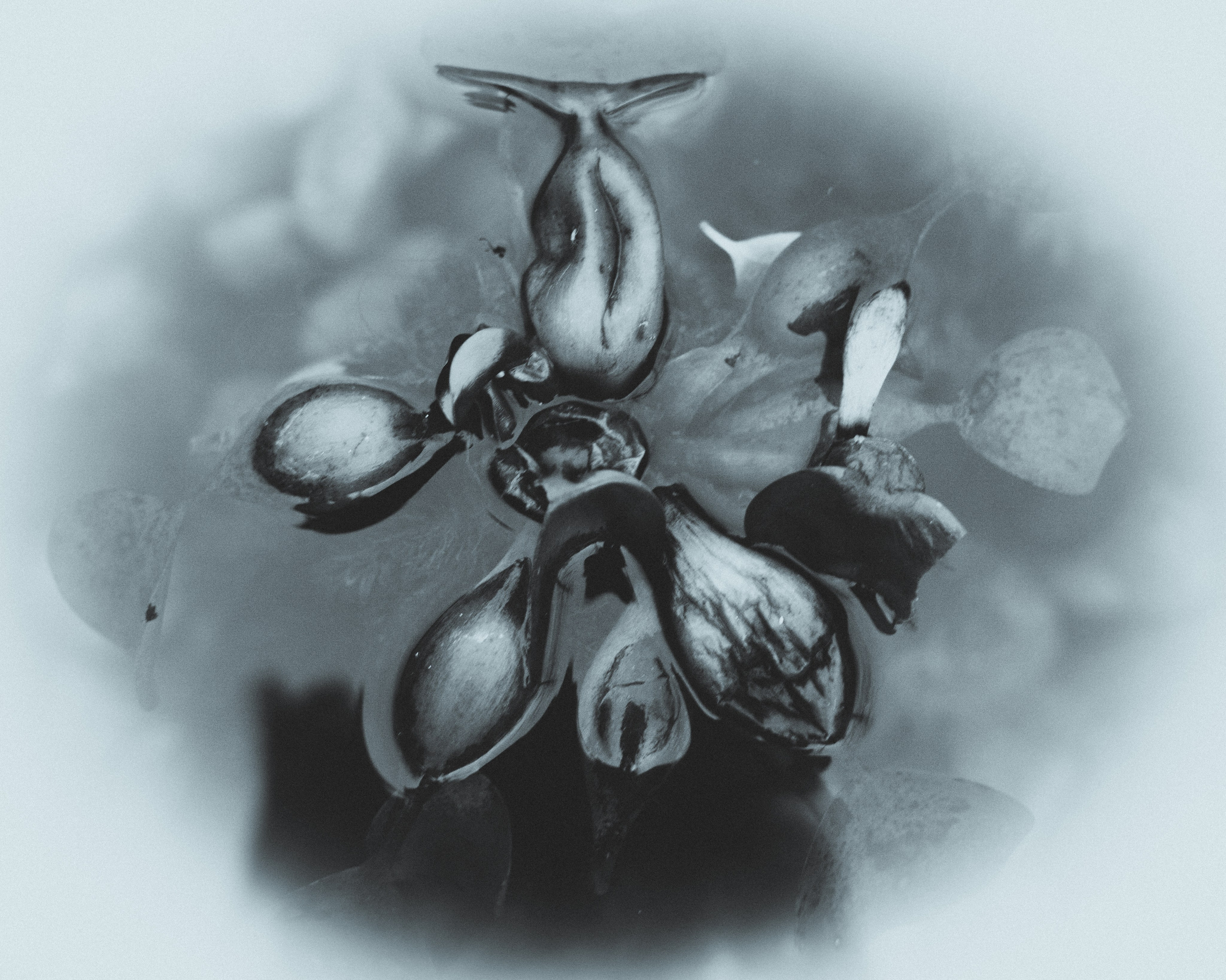 Silence. Главная