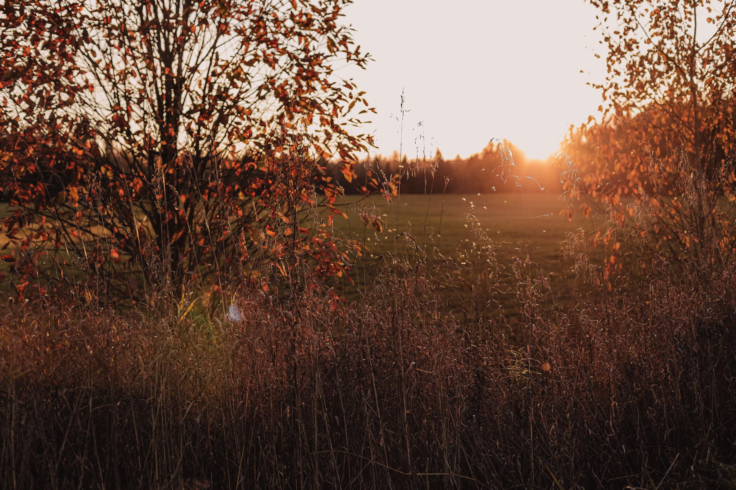 Как упоительны в России вечера. Mariam Bagdasaryan