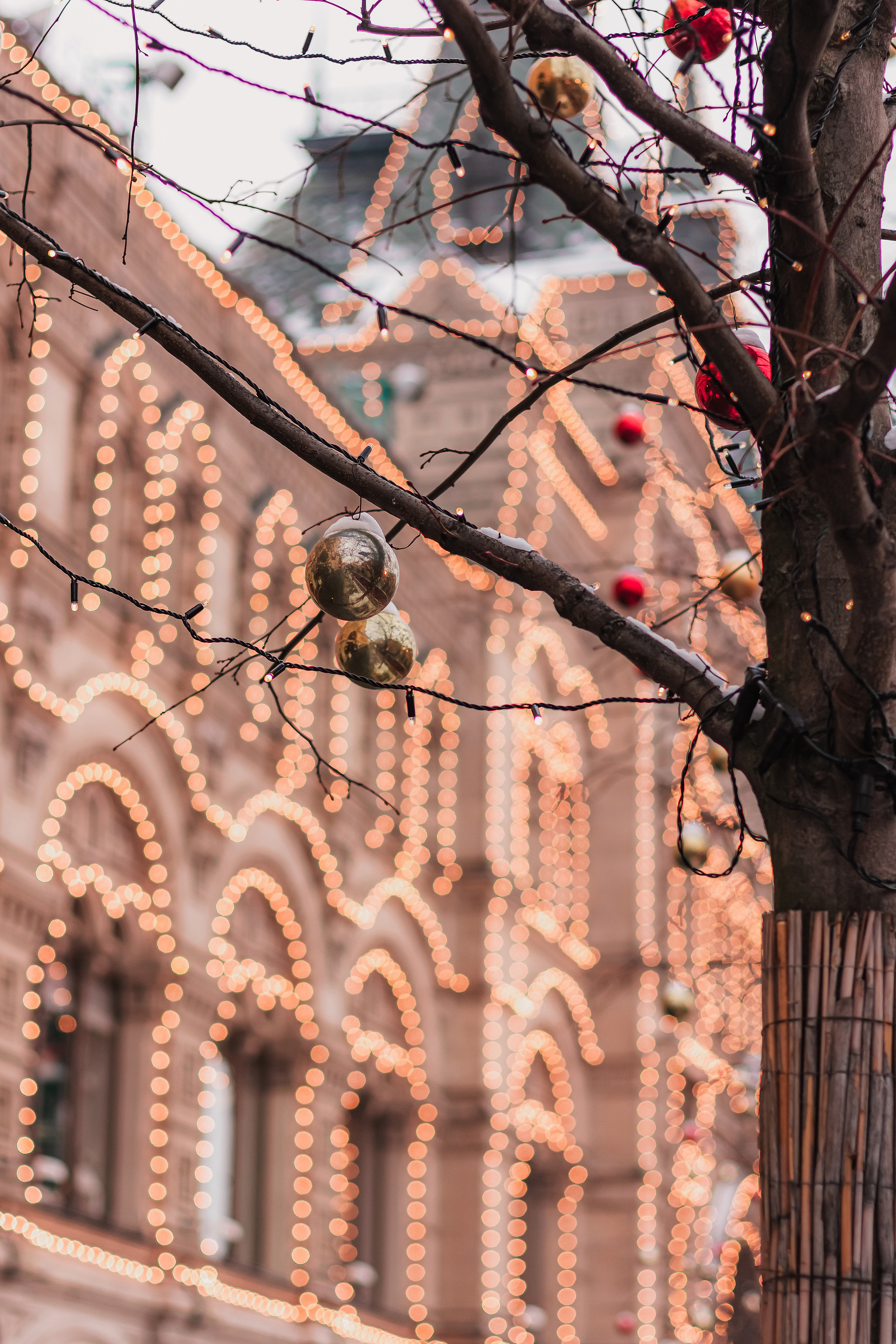 Праздничные будни на Красной. Mariam Bagdasaryan