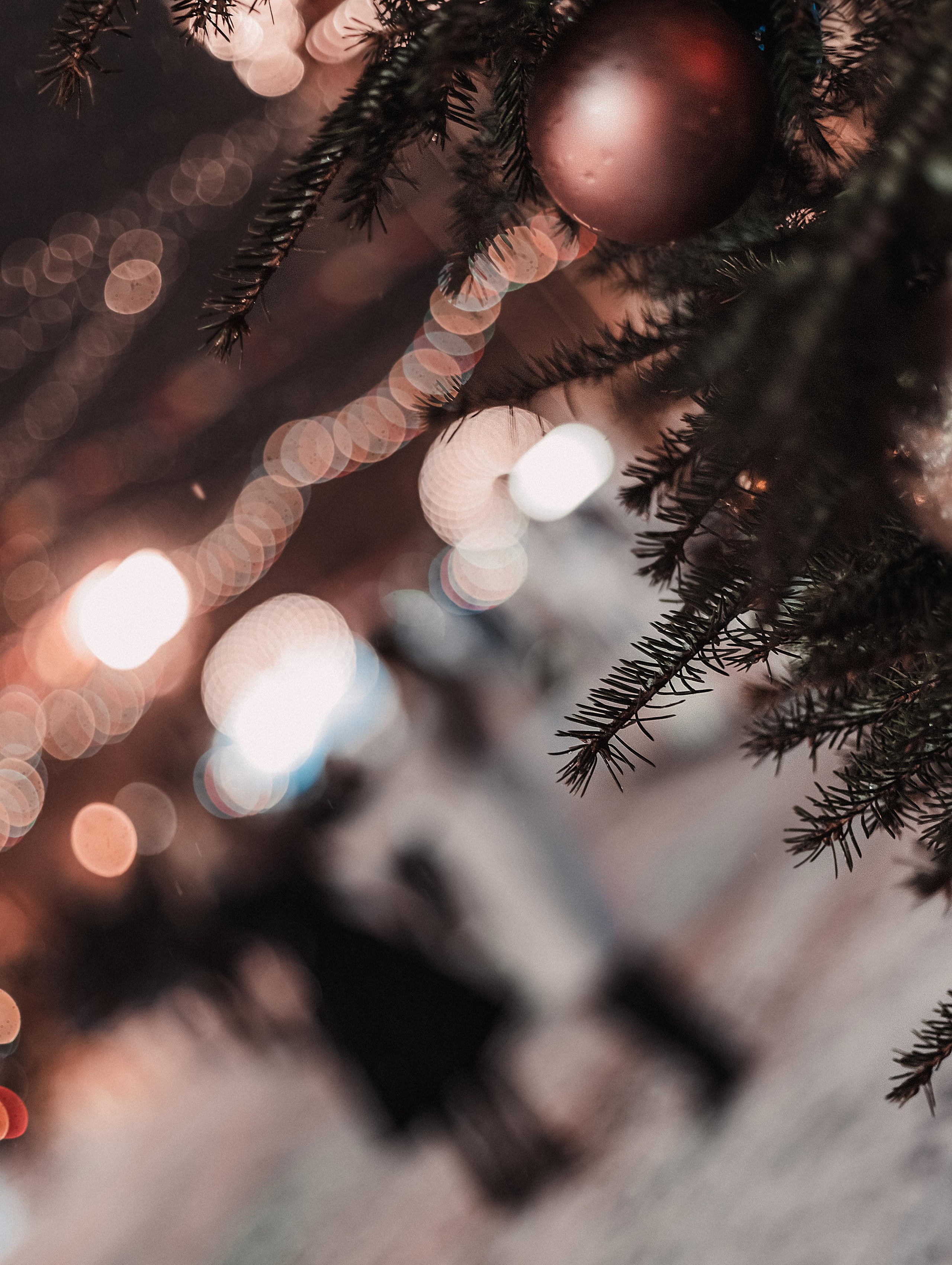 Сестрички. Mariam Bagdasaryan