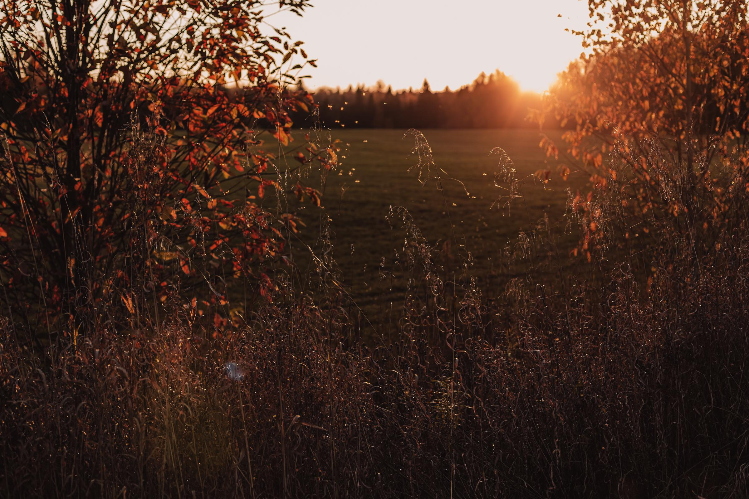 Как упоительны в России вечера. Mariam Bagdasaryan